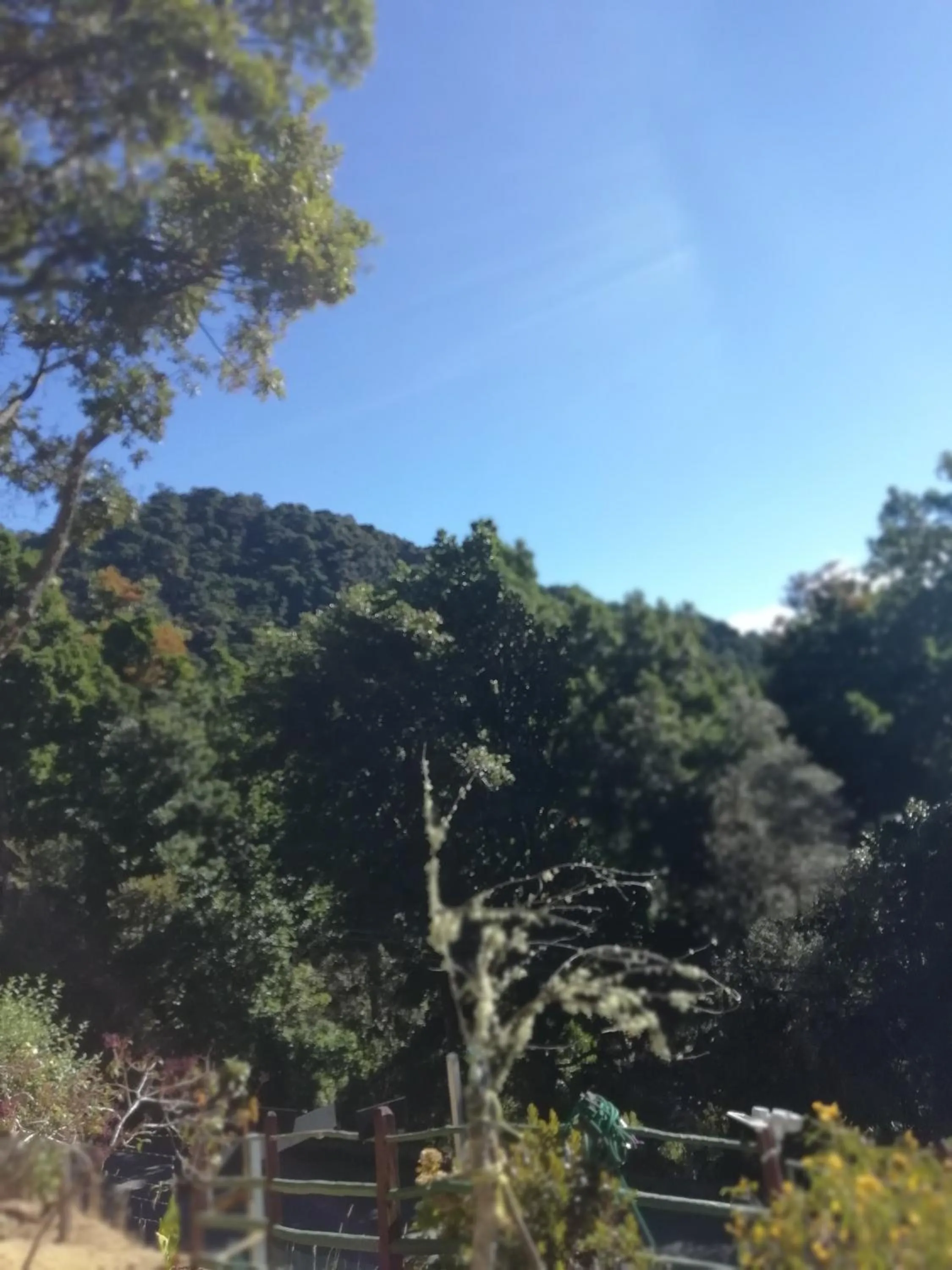 Natural landscape in Miriam'S Quetzals lodge