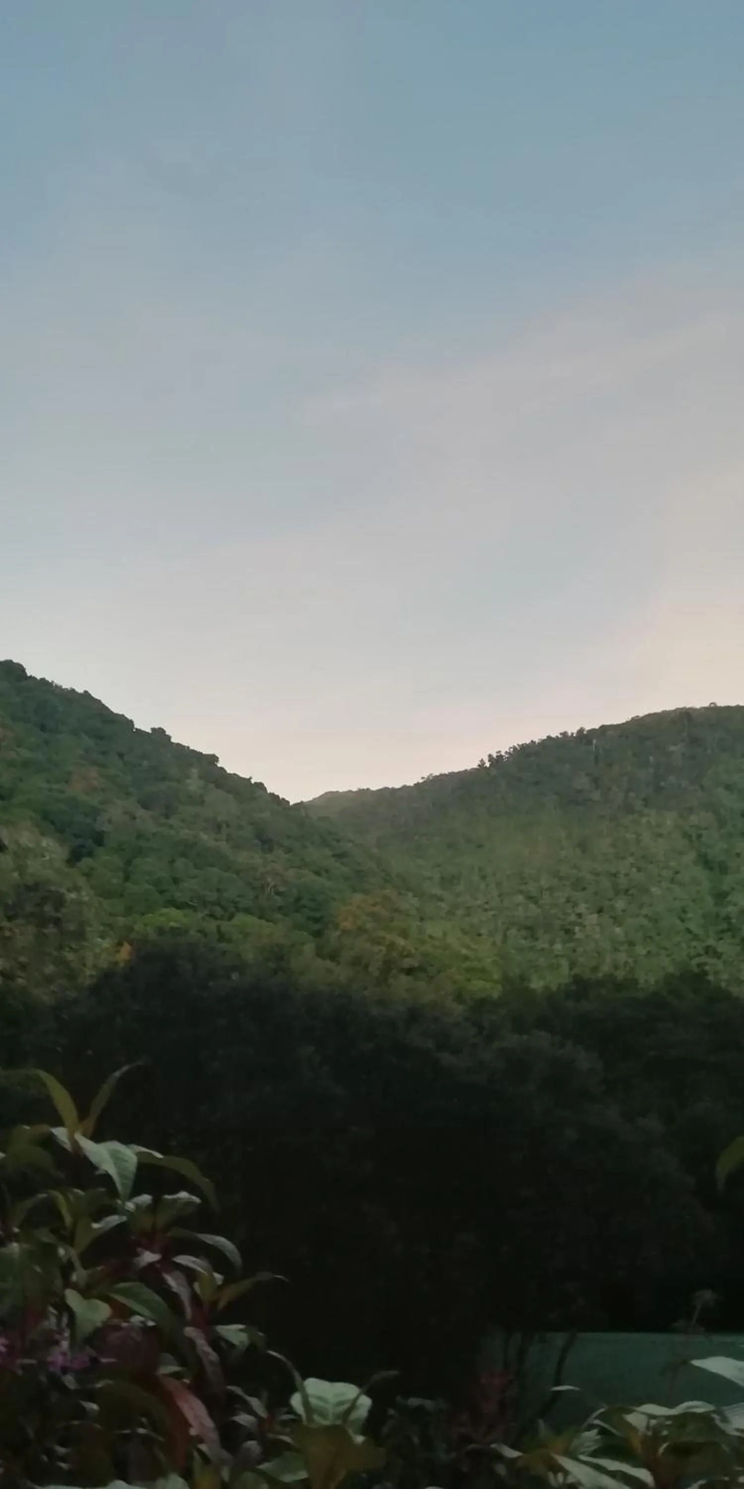 Miriam'S Quetzals lodge