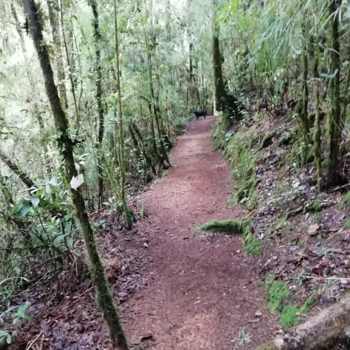 Day in Miriam'S Quetzals lodge