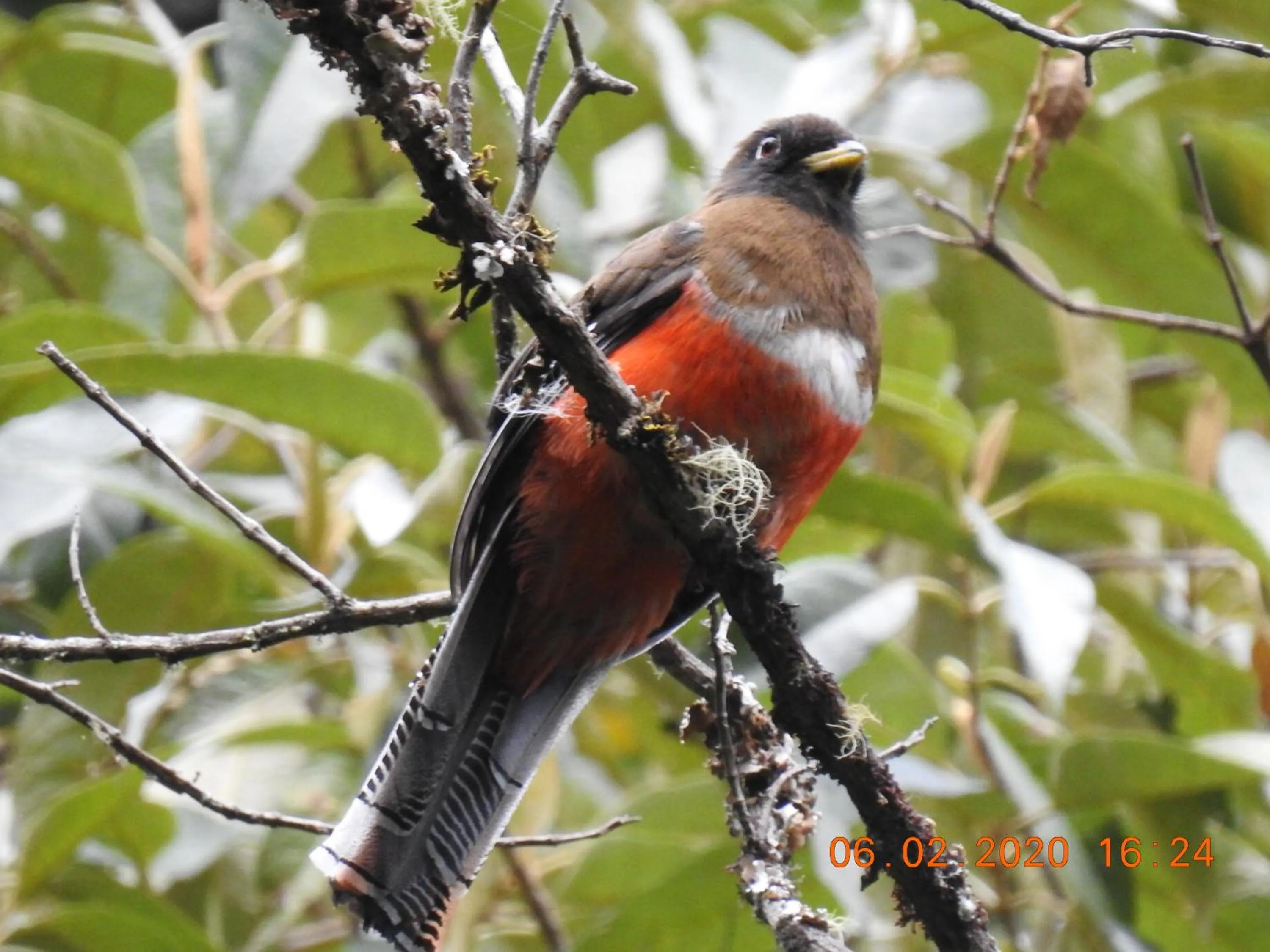Miriam'S Quetzals lodge