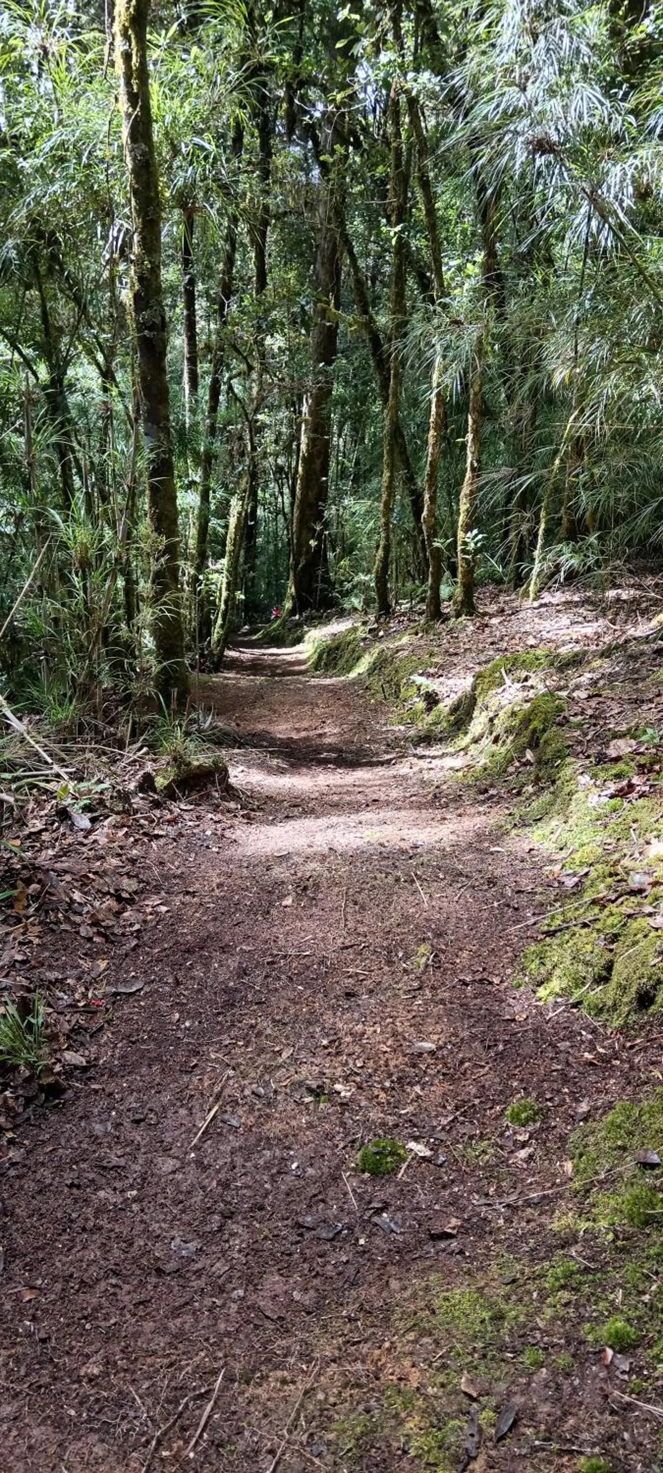 Miriam'S Quetzals lodge