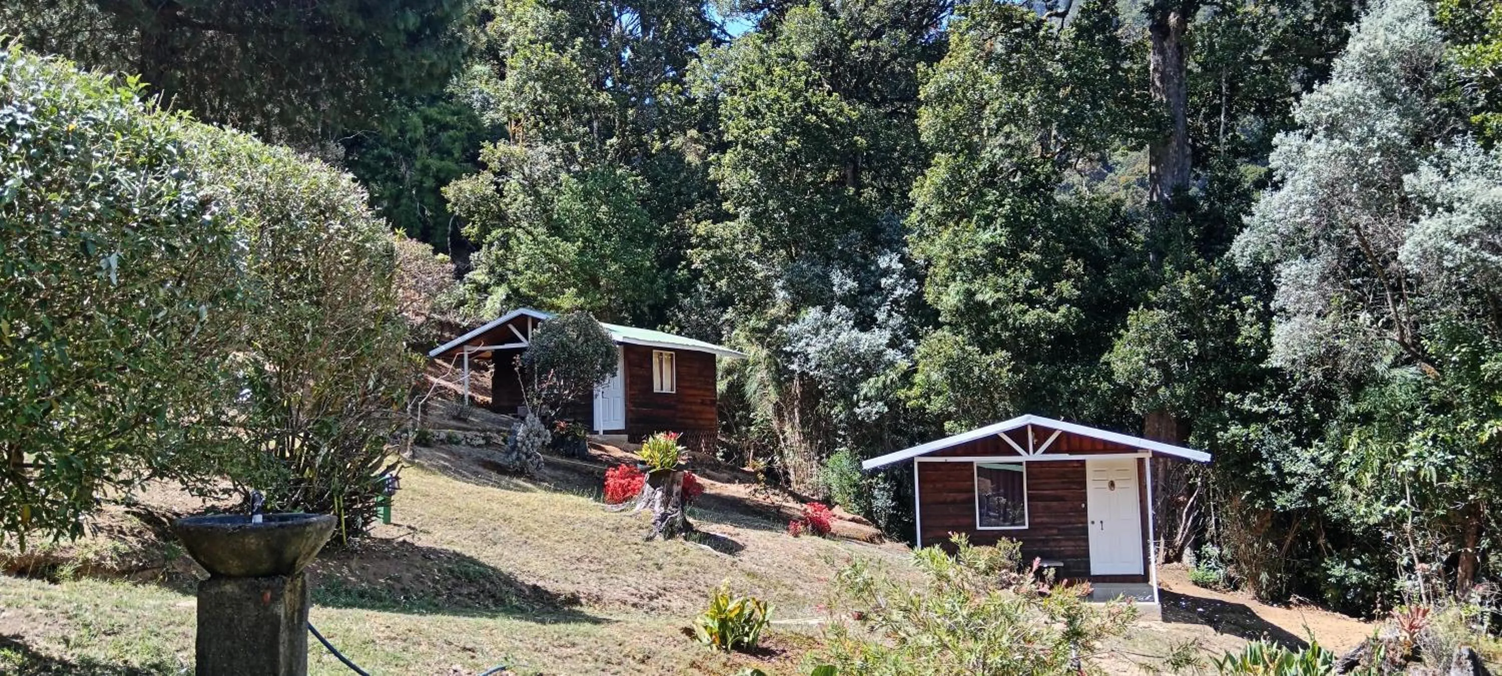 Miriam'S Quetzals lodge