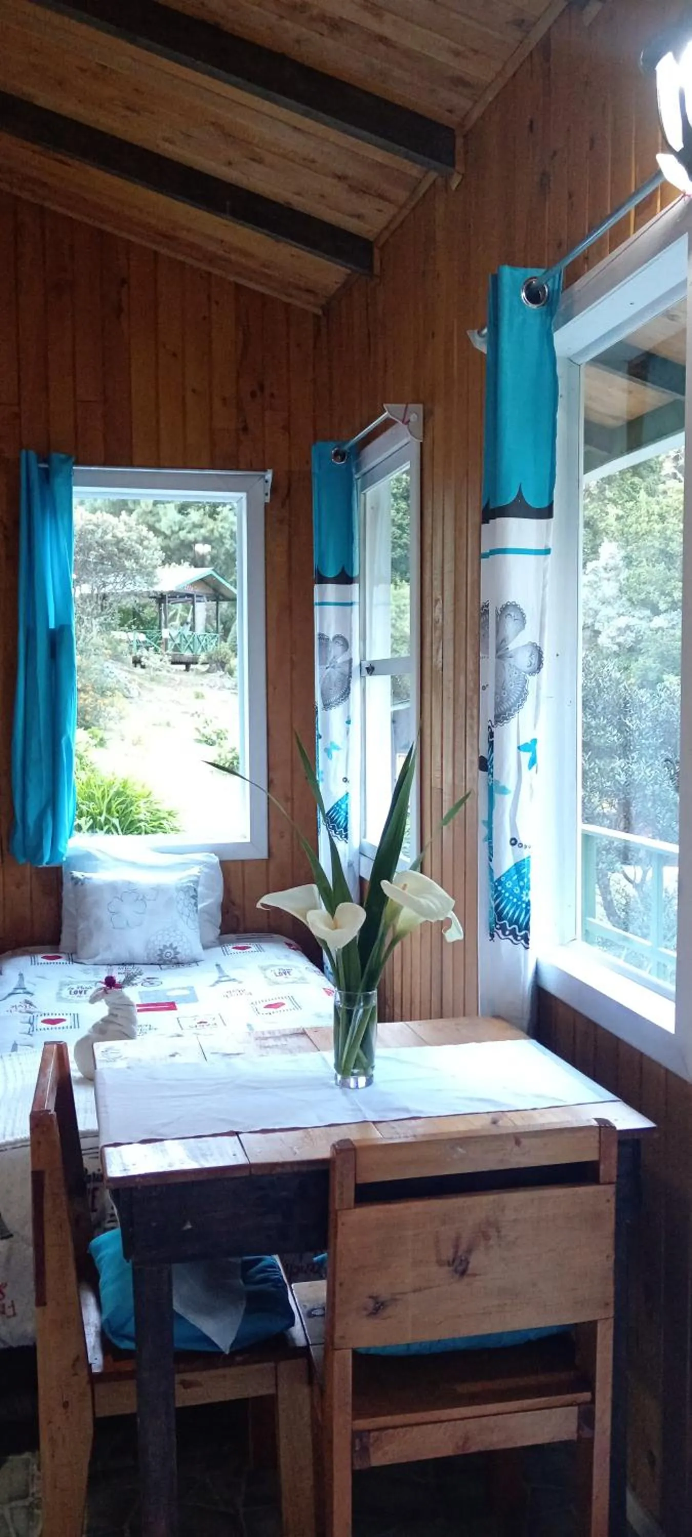 Miriam'S Quetzals lodge