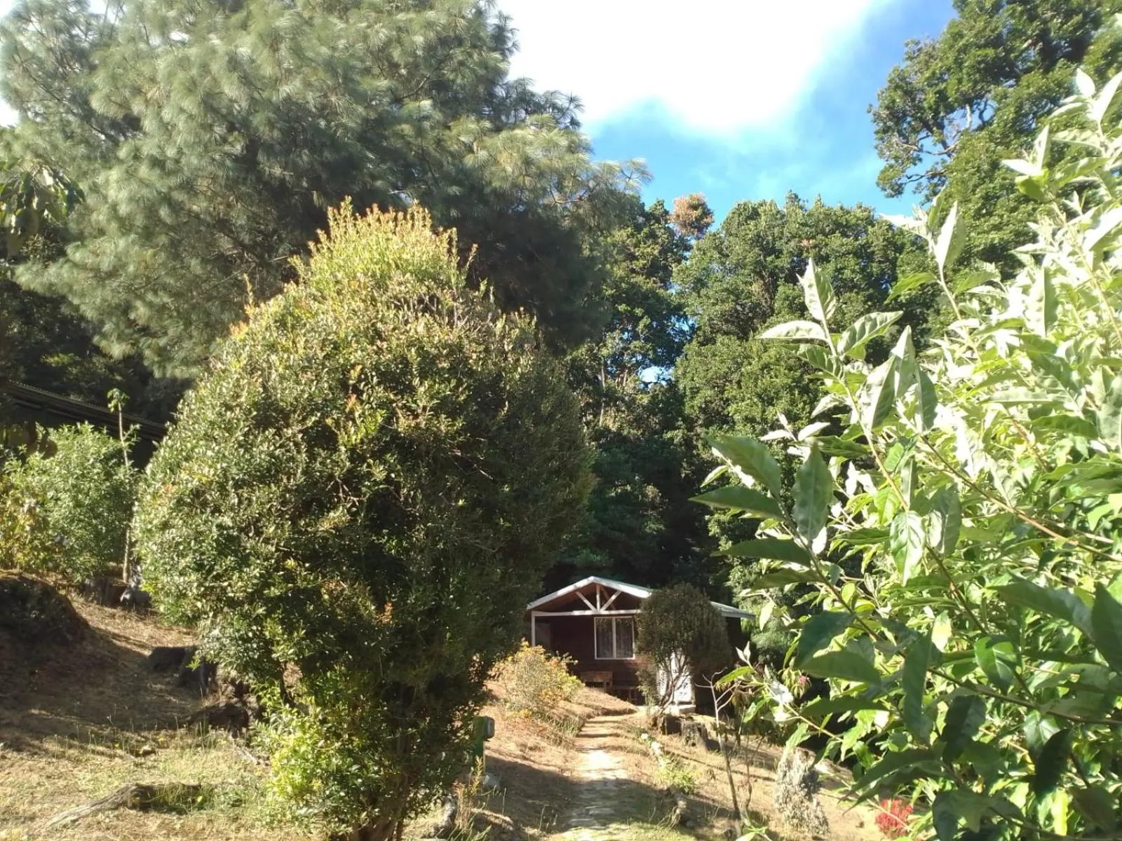 Miriam'S Quetzals lodge
