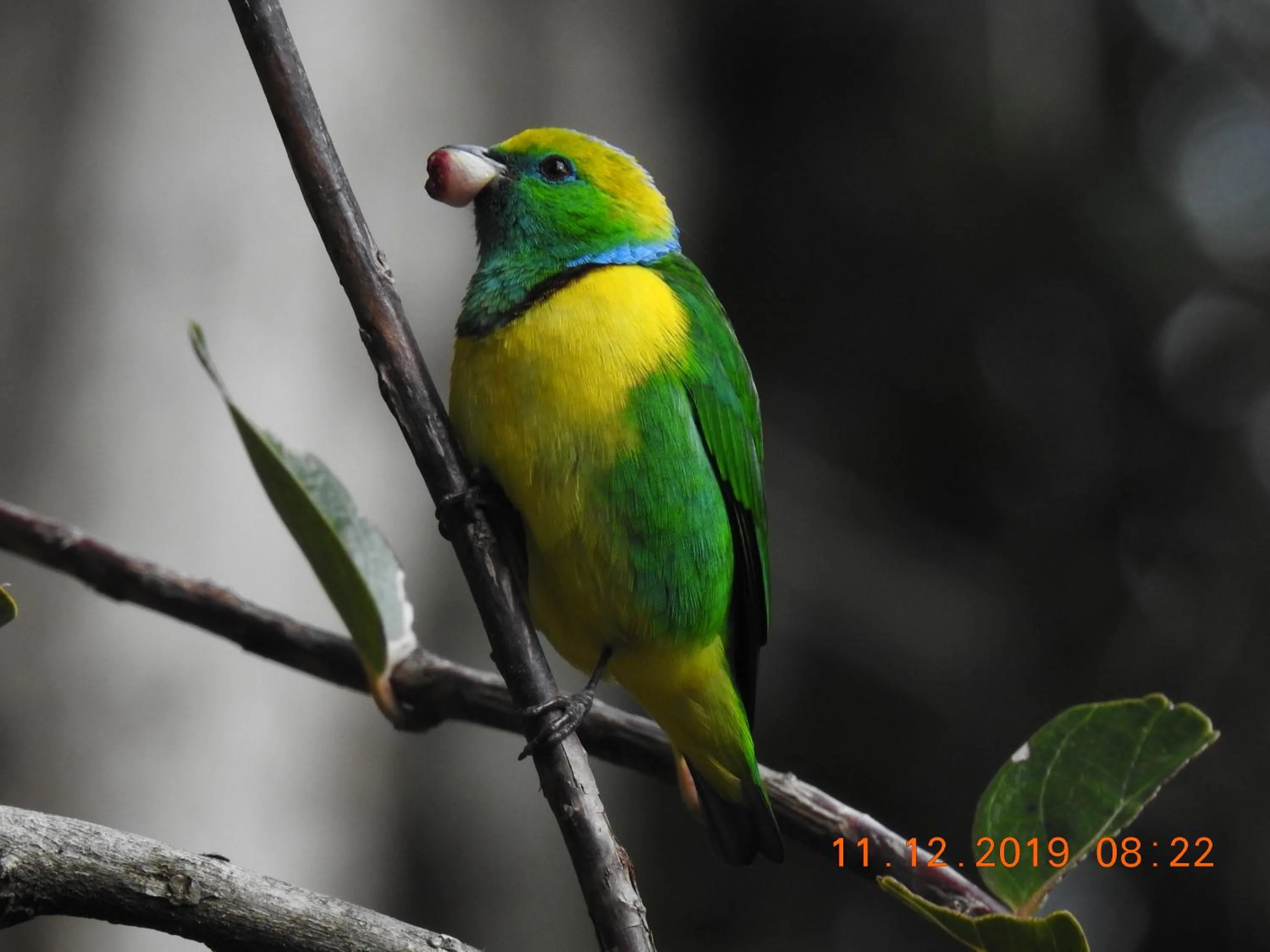 Miriam'S Quetzals lodge