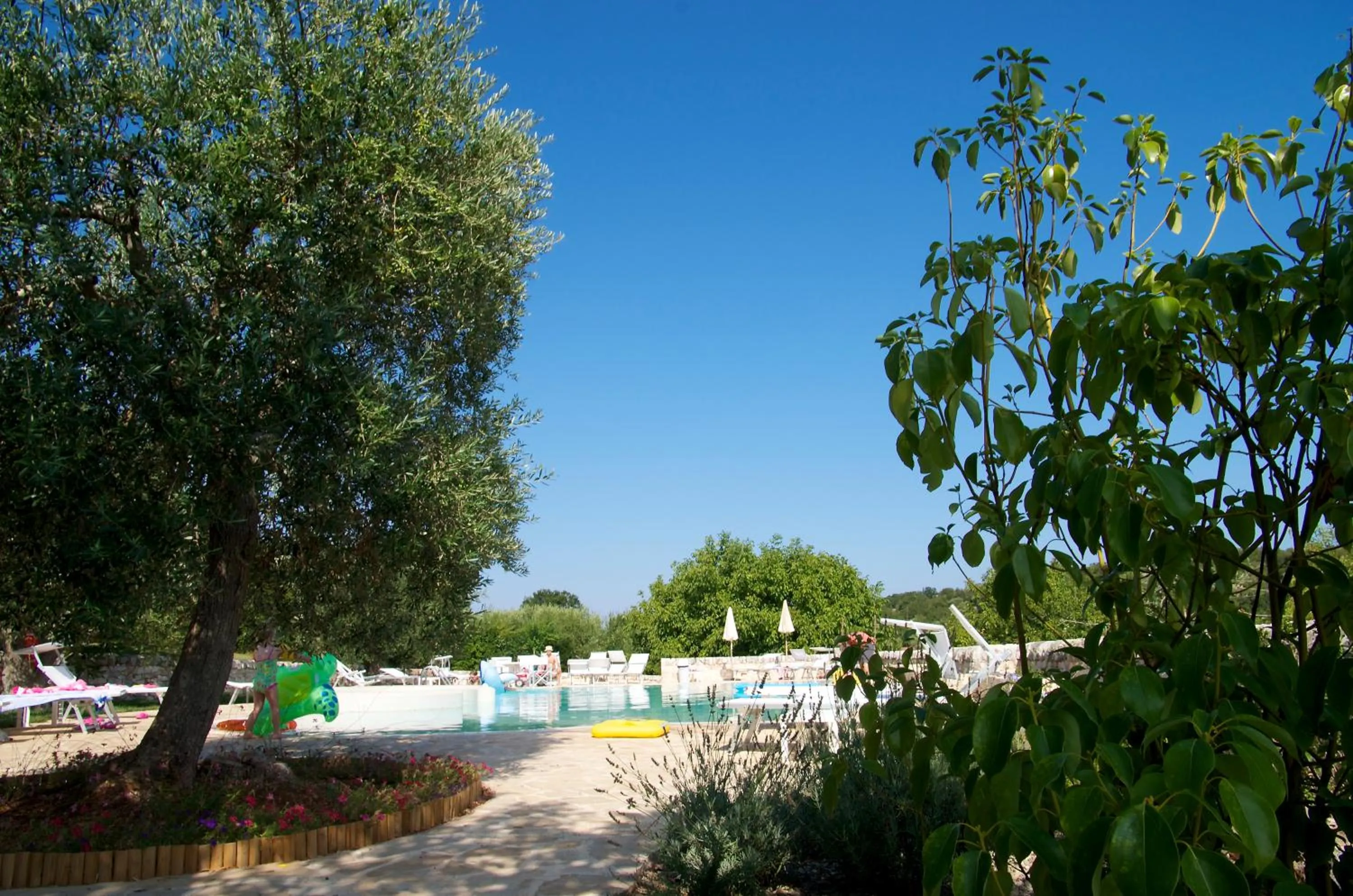 Swimming pool in Truddhi Casa e Cucina di Puglia