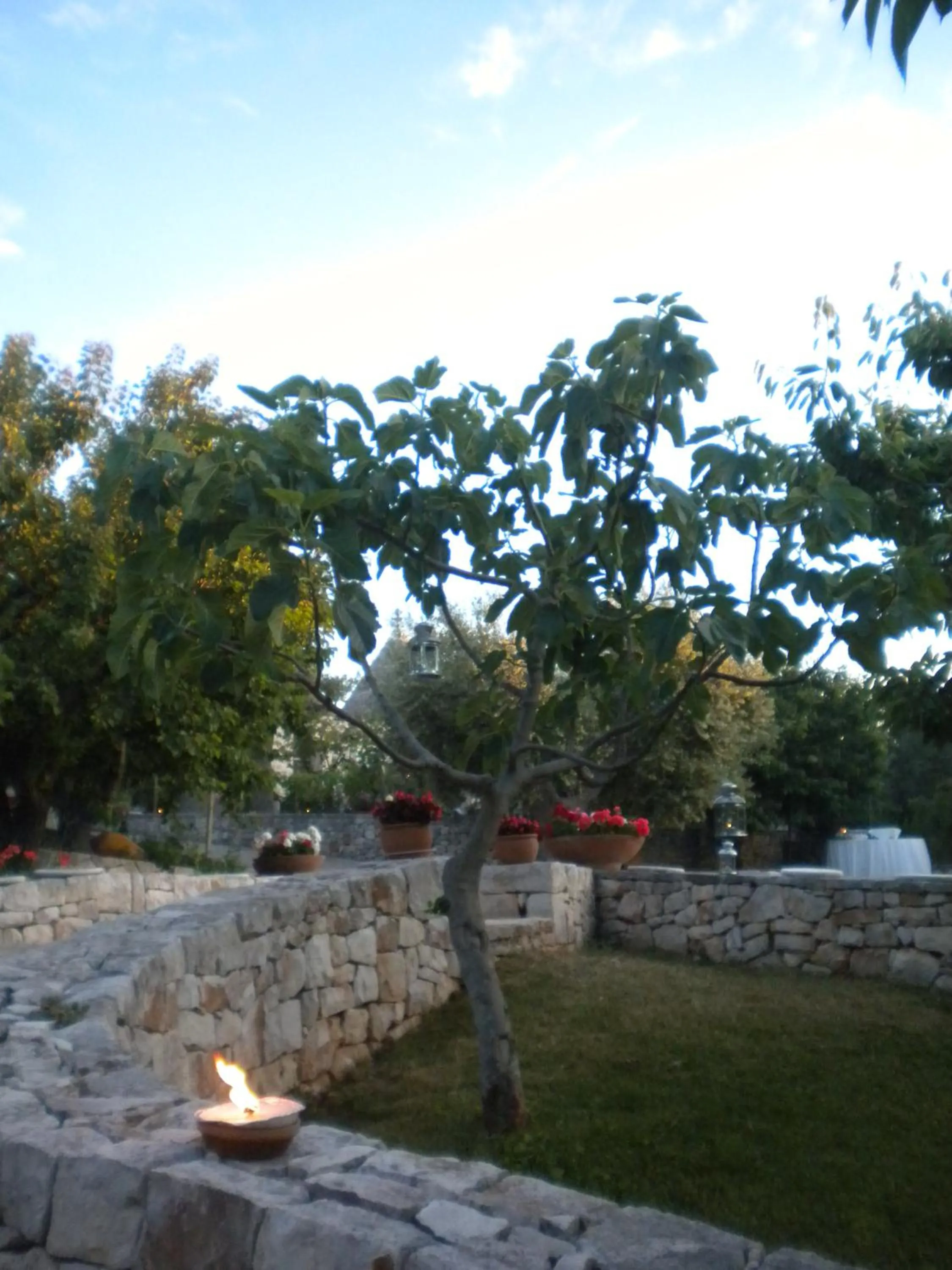 Garden in Truddhi Casa e Cucina di Puglia