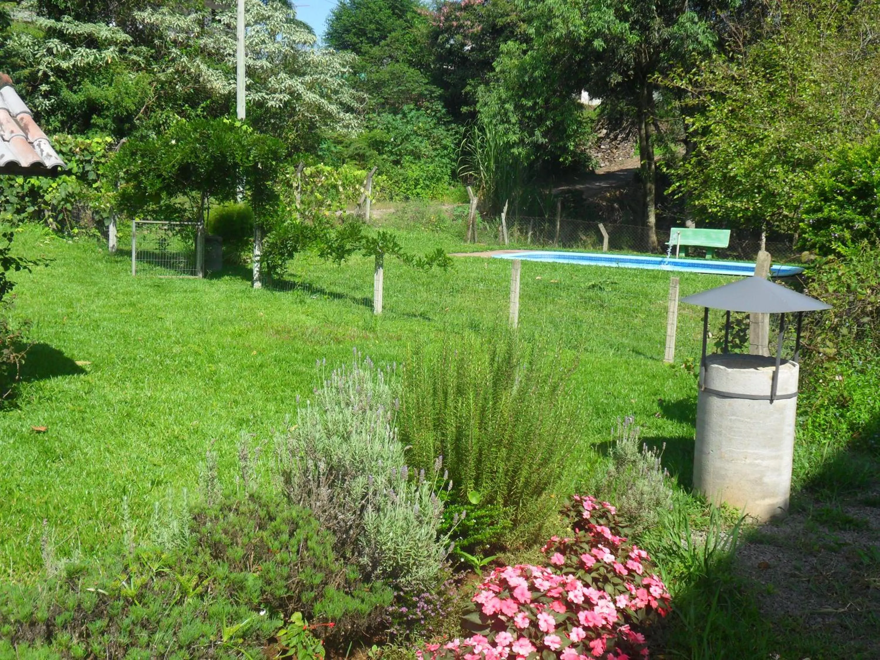 Pool view in Pousada dos Plátanos