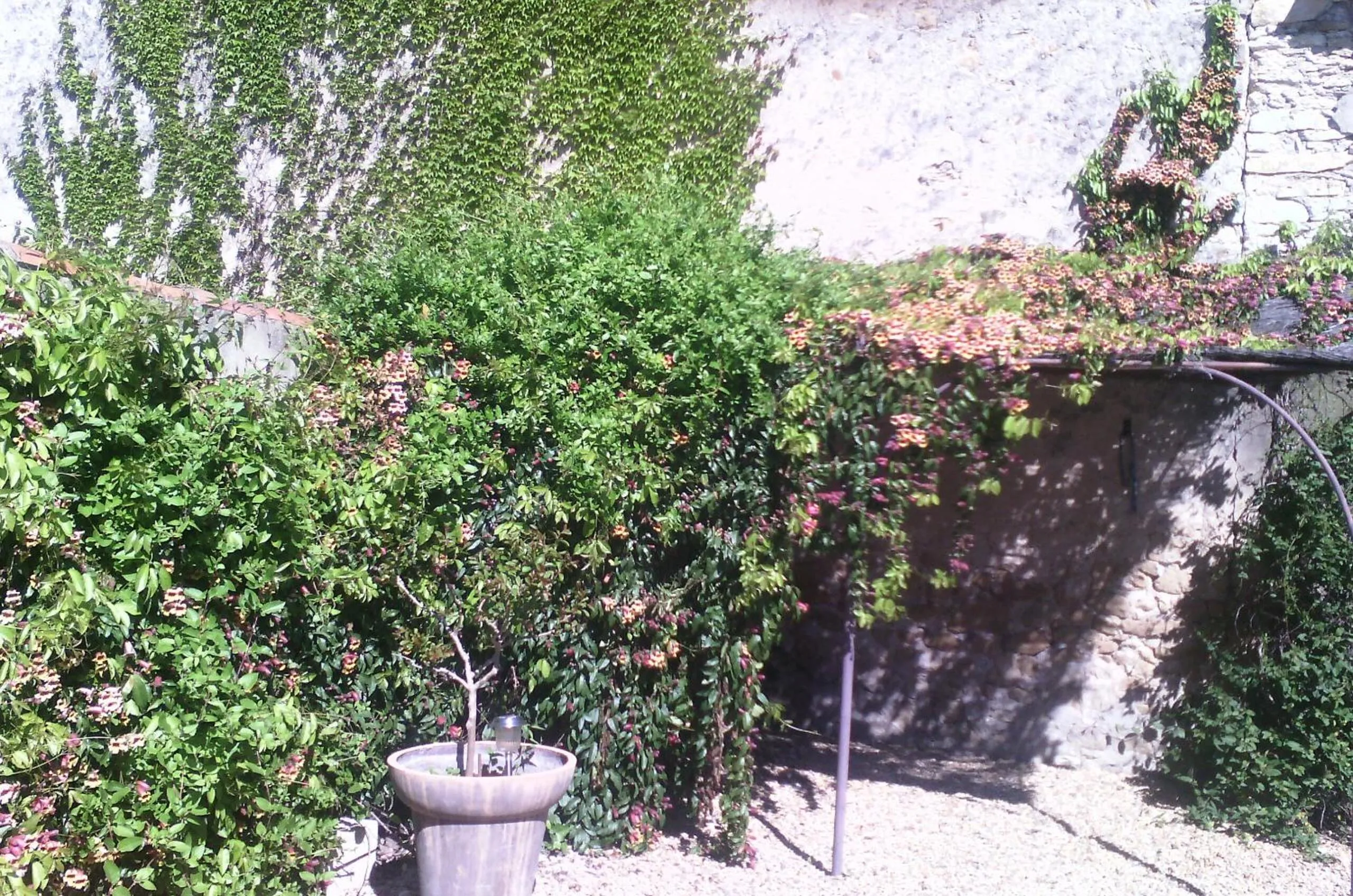 Garden in Mas du Puits d'Amour