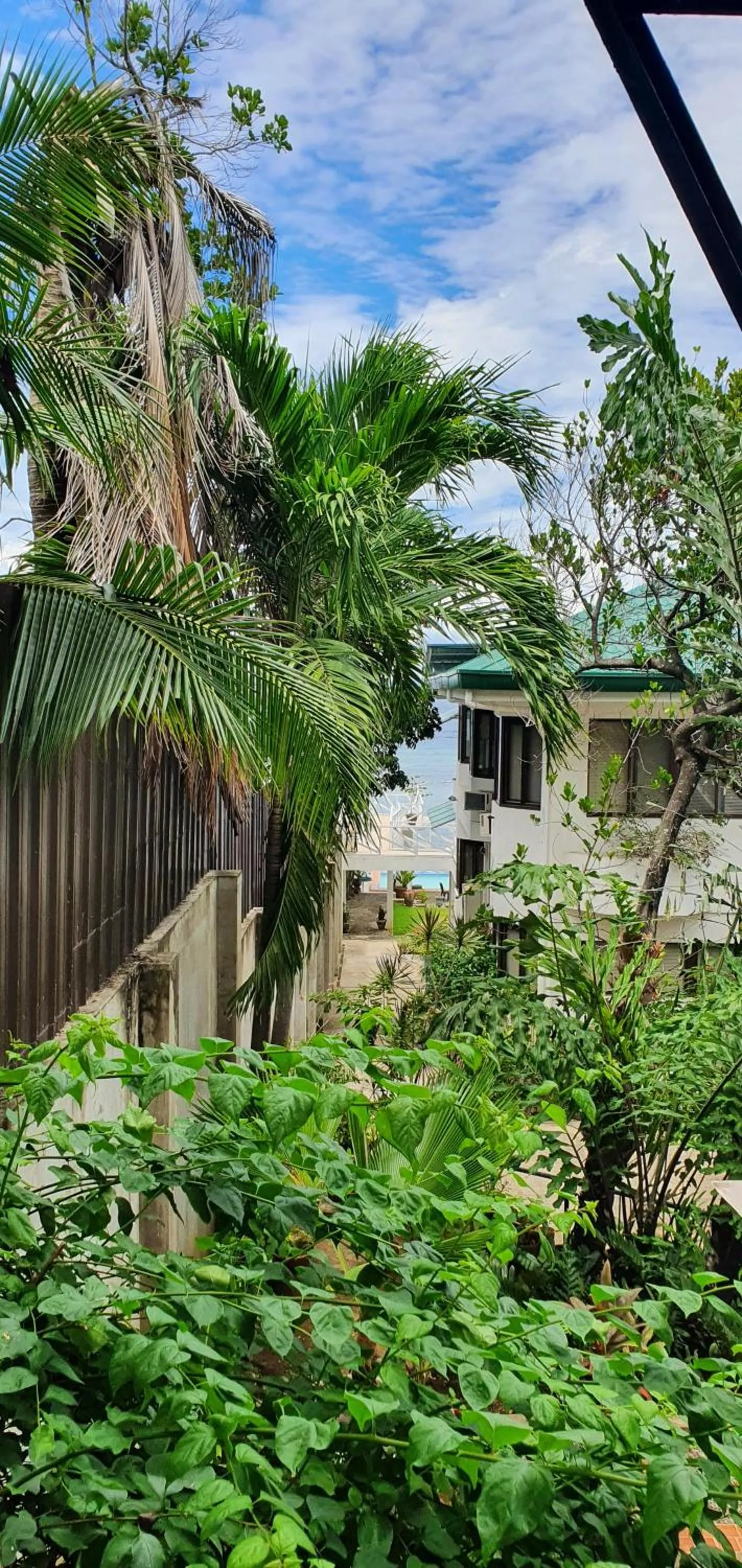View (from property/room) in Lola's Guest House