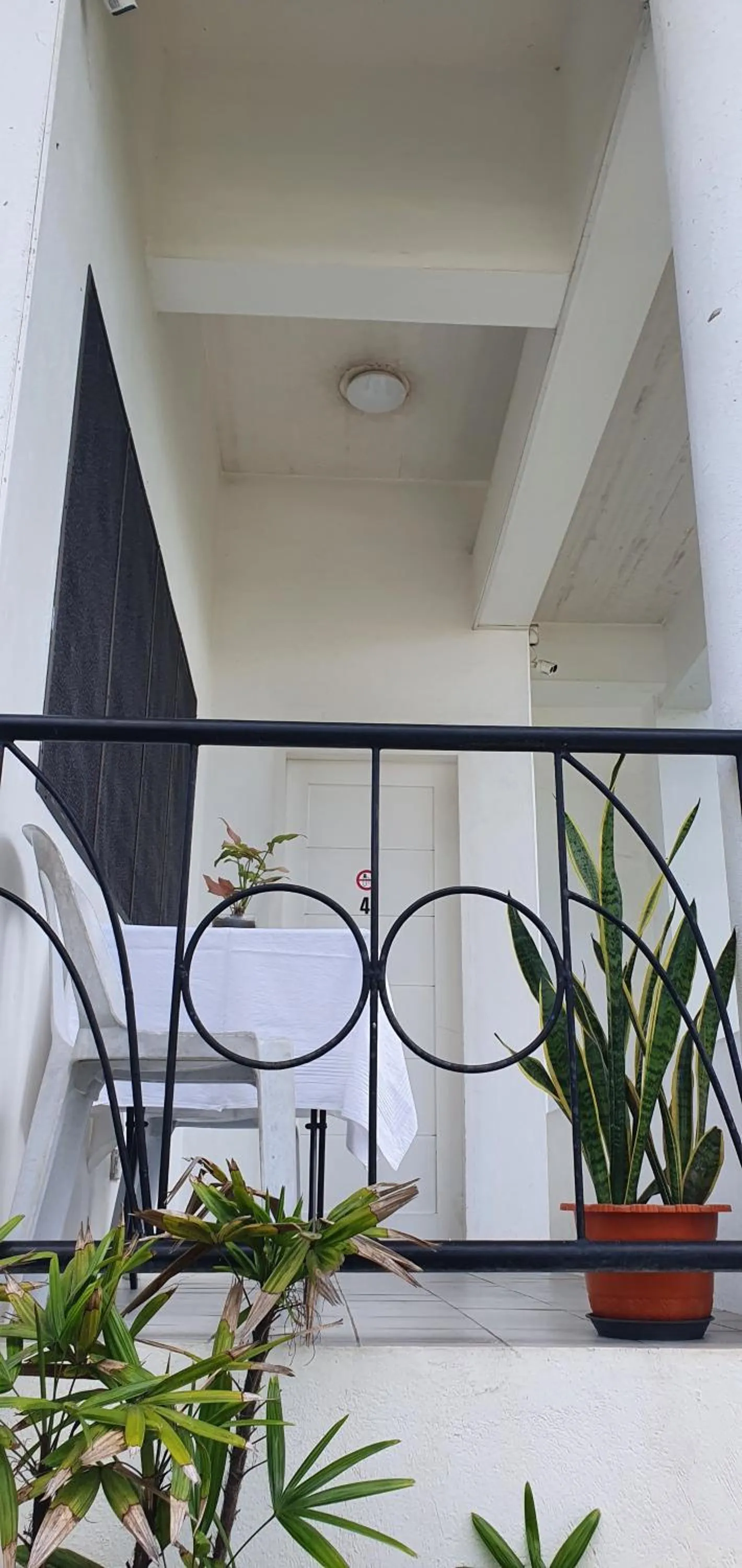 Balcony/Terrace in Lola's Guest House