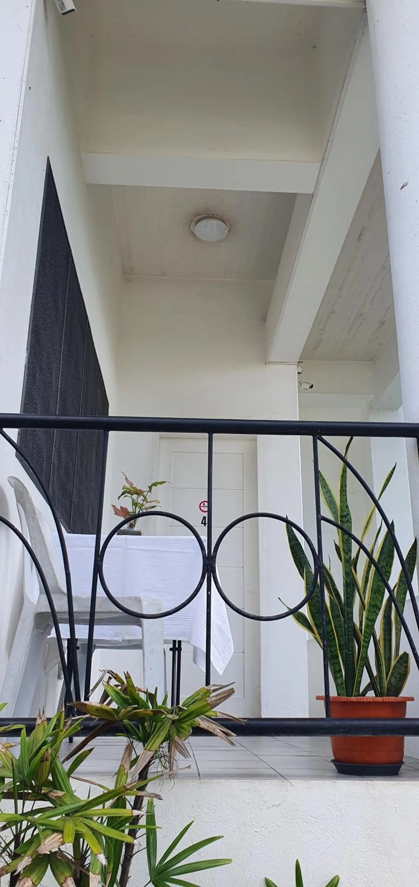 Balcony/Terrace in Lola's Guest House