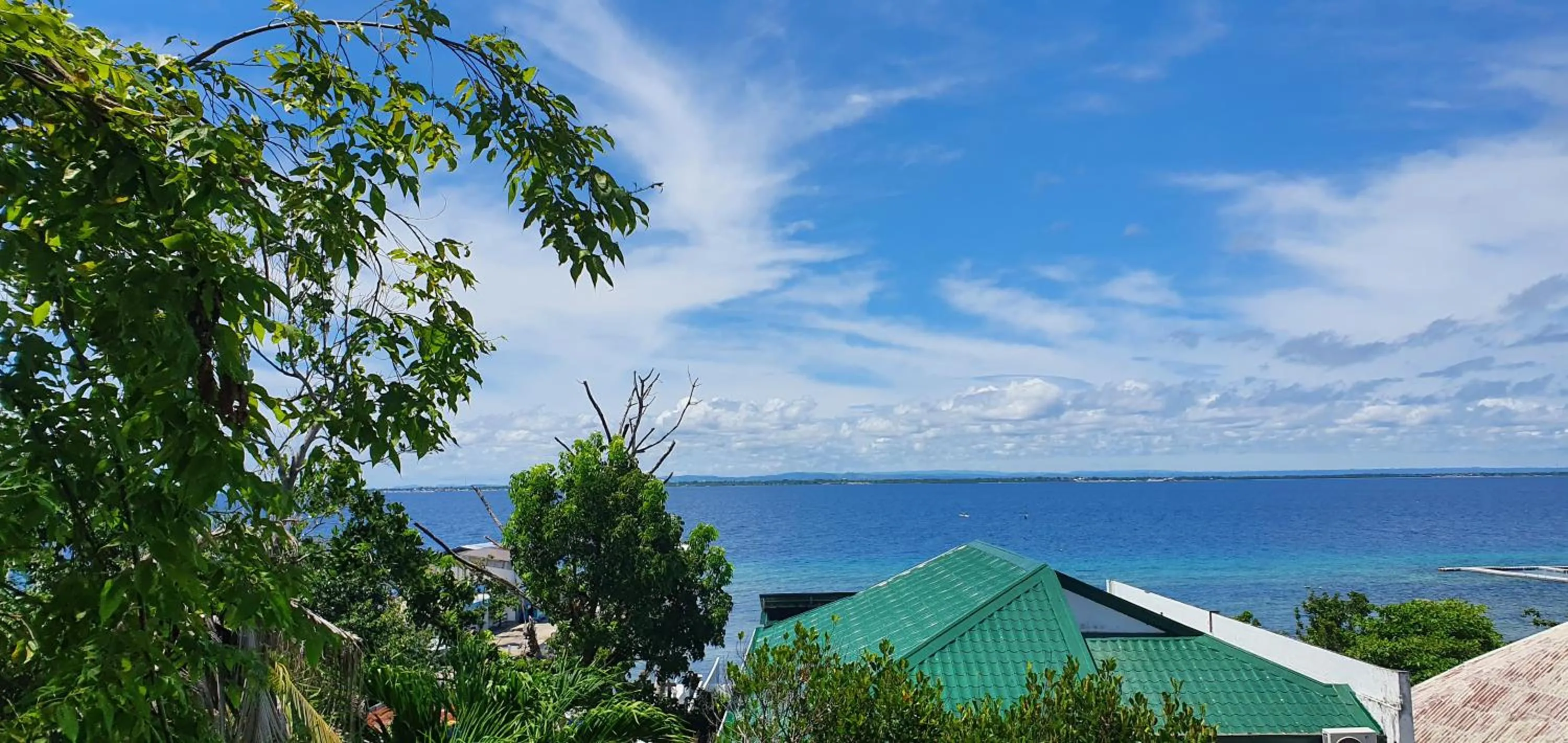 View (from property/room) in Lola's Guest House