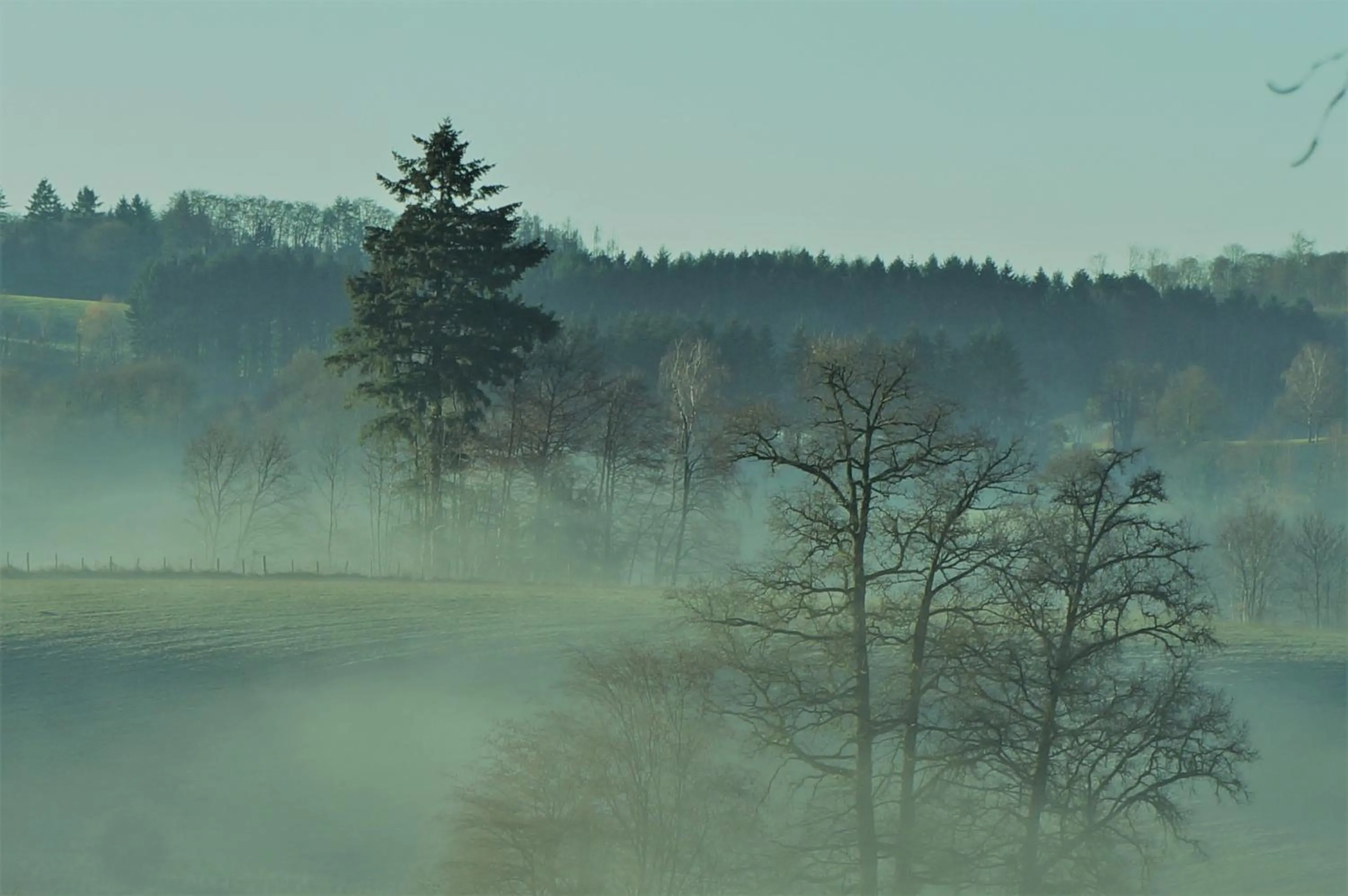 Natural landscape in B&B Les Tranchées