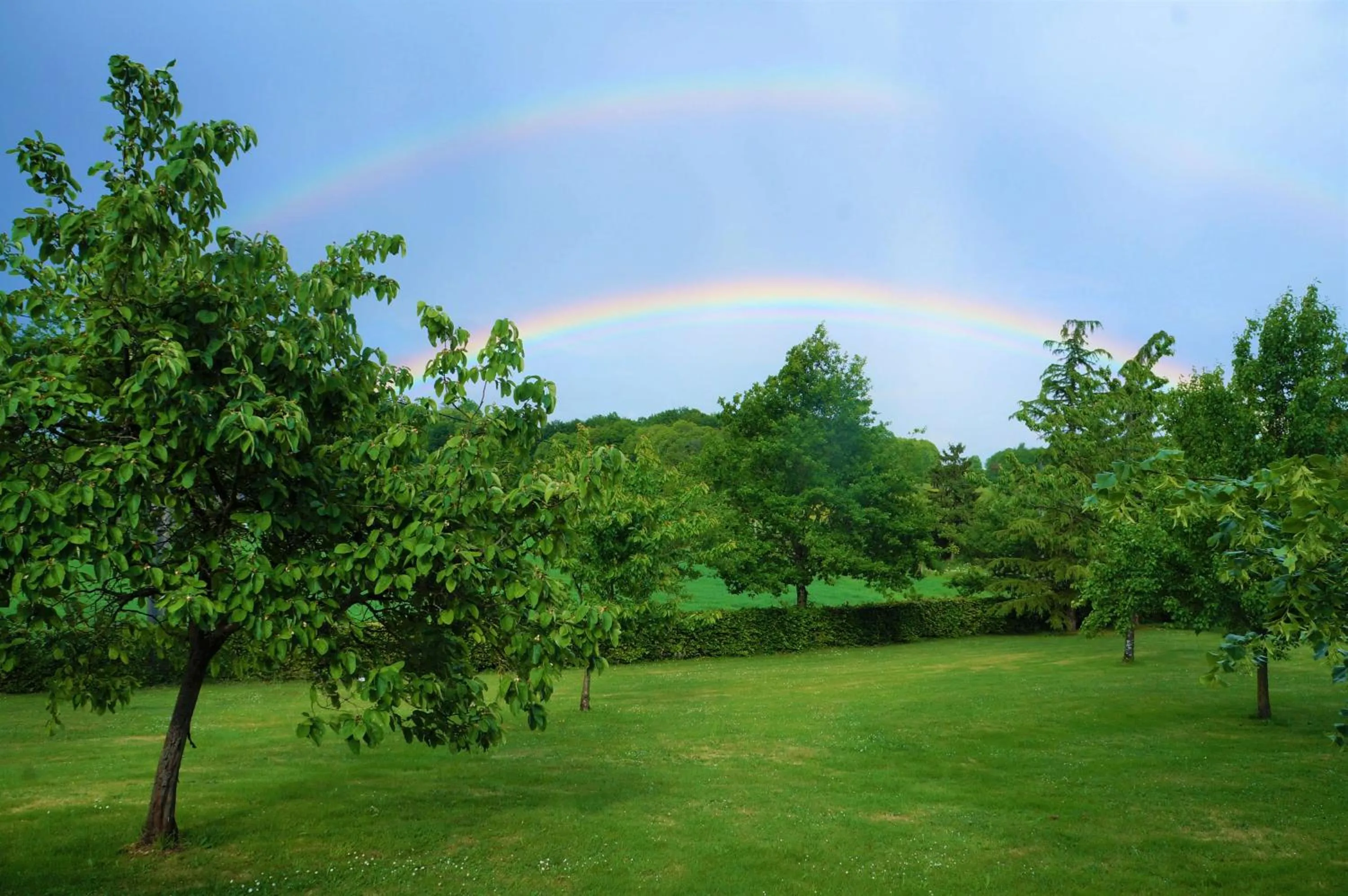 Garden in B&B Les Tranchées