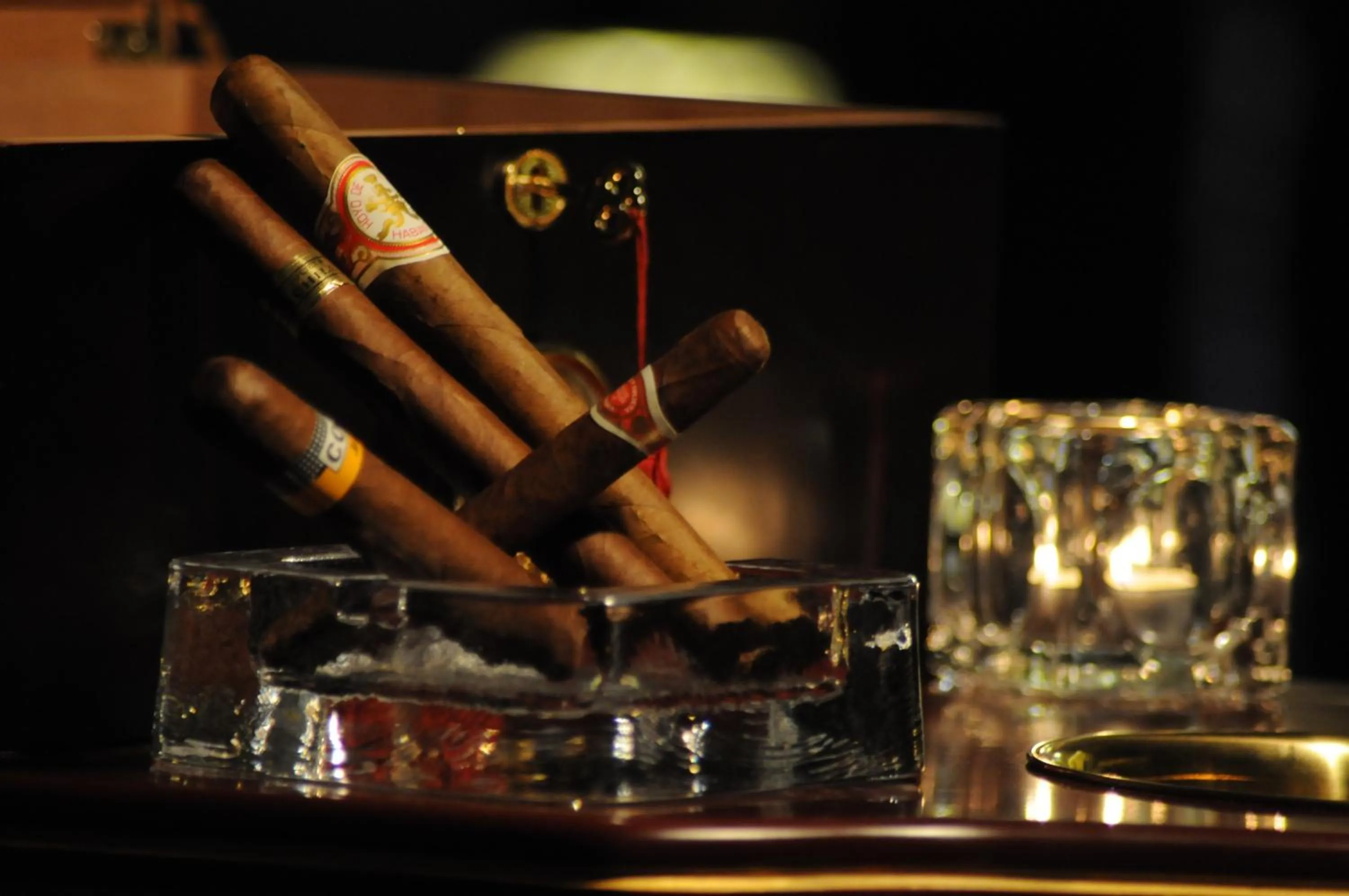 Lounge or bar in Canyon Hotel Erbil