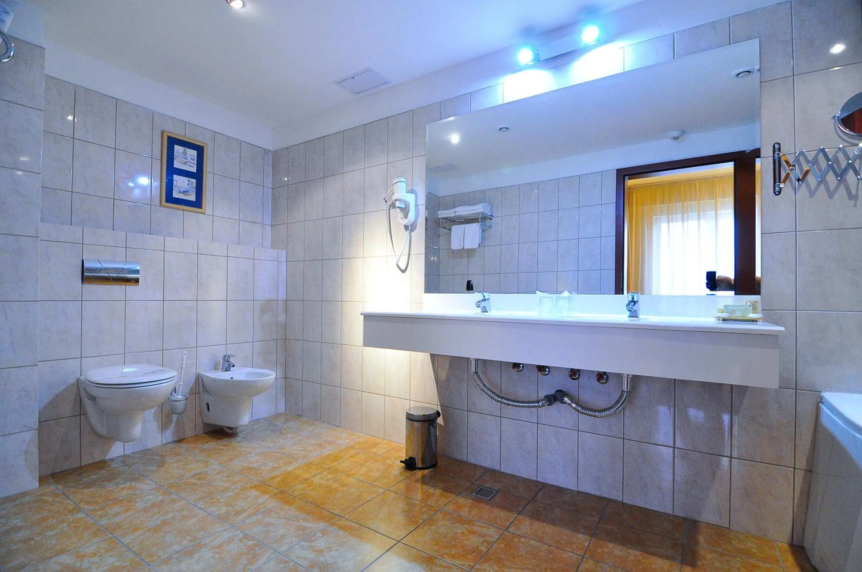 Bathroom in Hotel Maxim