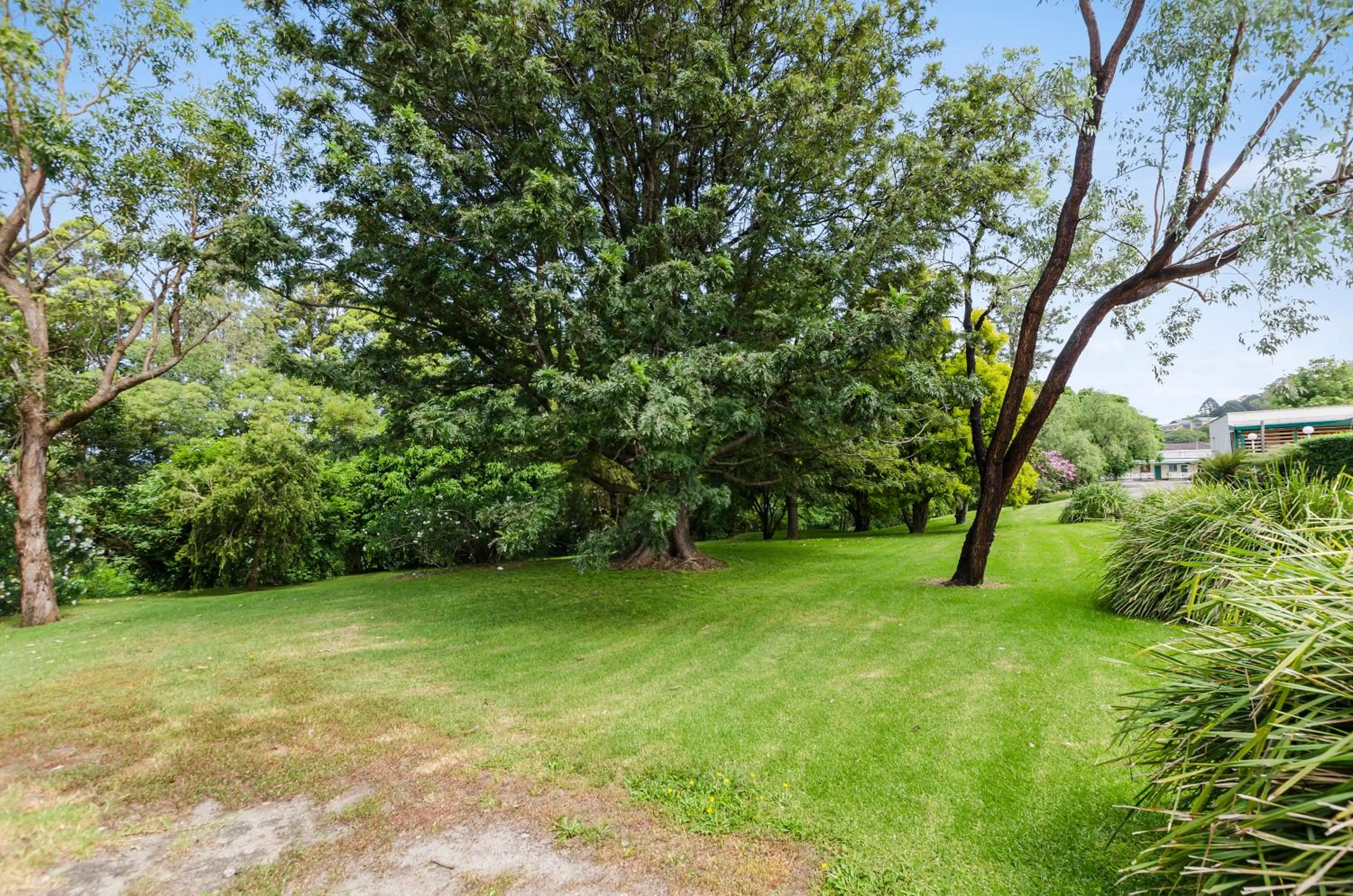 Garden in Solomon Inn Motel Figtree