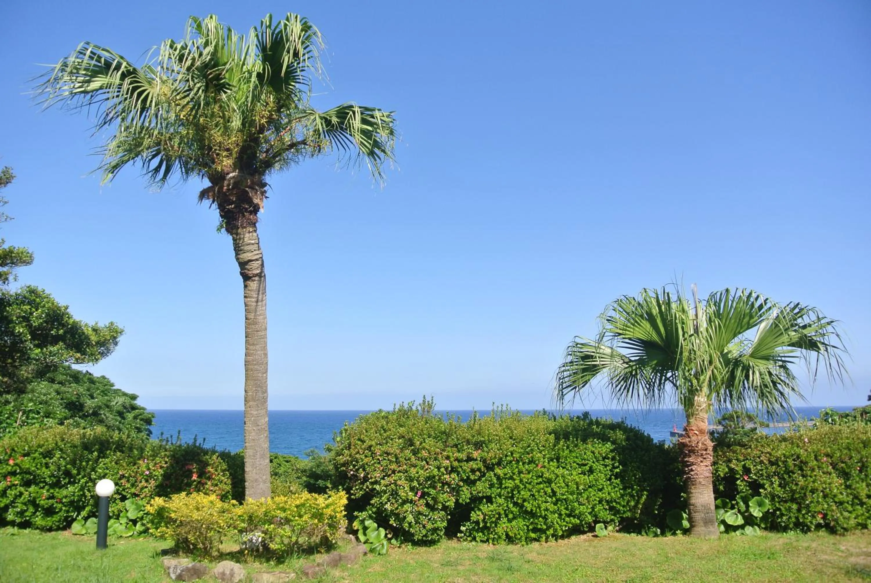 Sea view in Yakushima Green Hotel