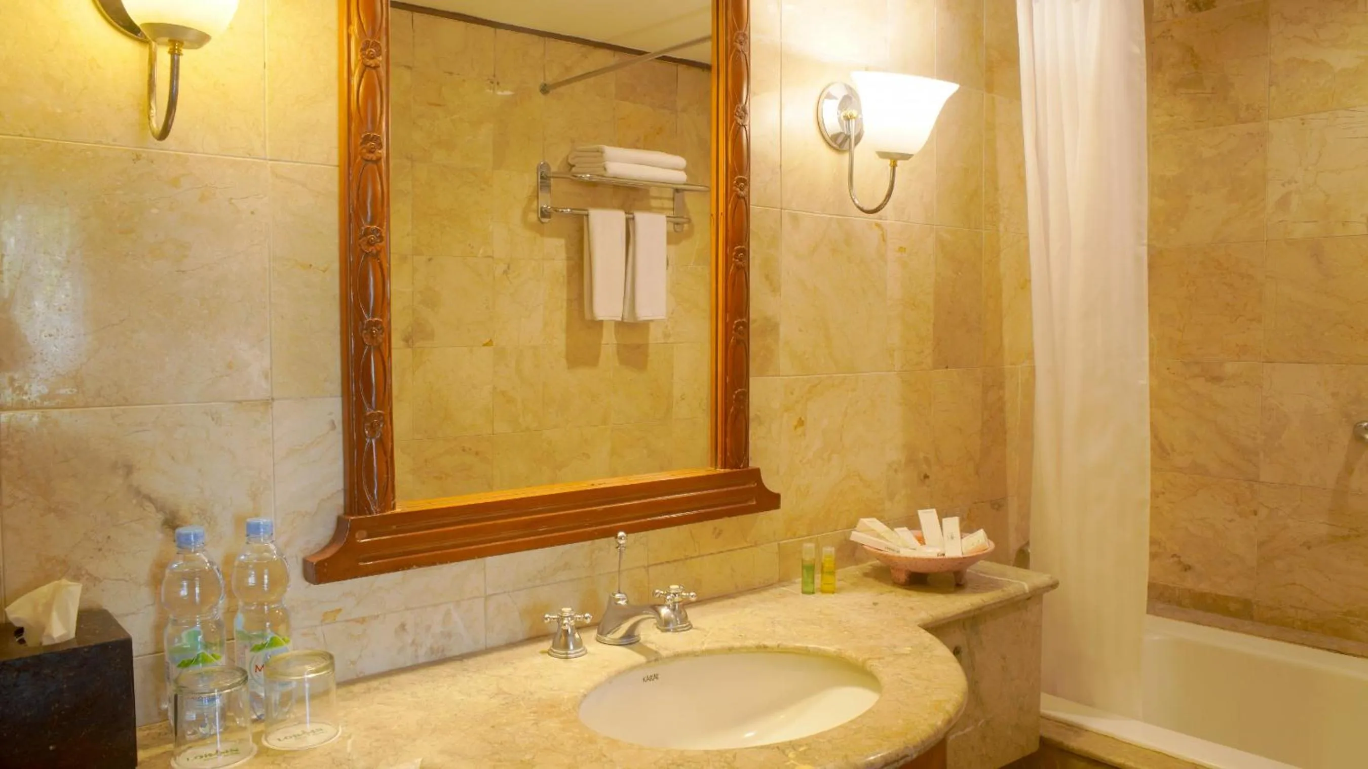 Bathroom in Lorin Solo Hotel