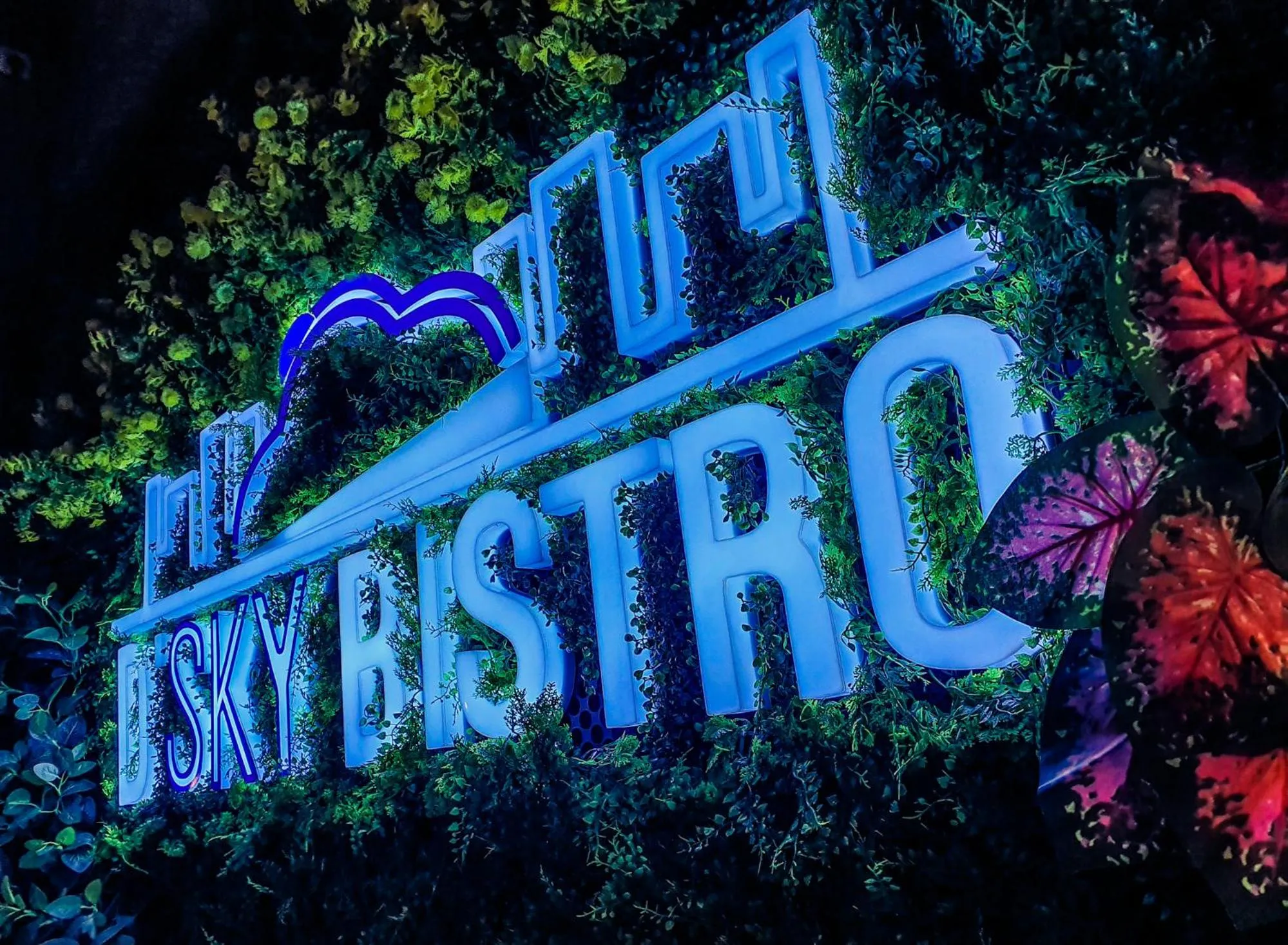 Restaurant/places to eat in D'Bamboo Suites