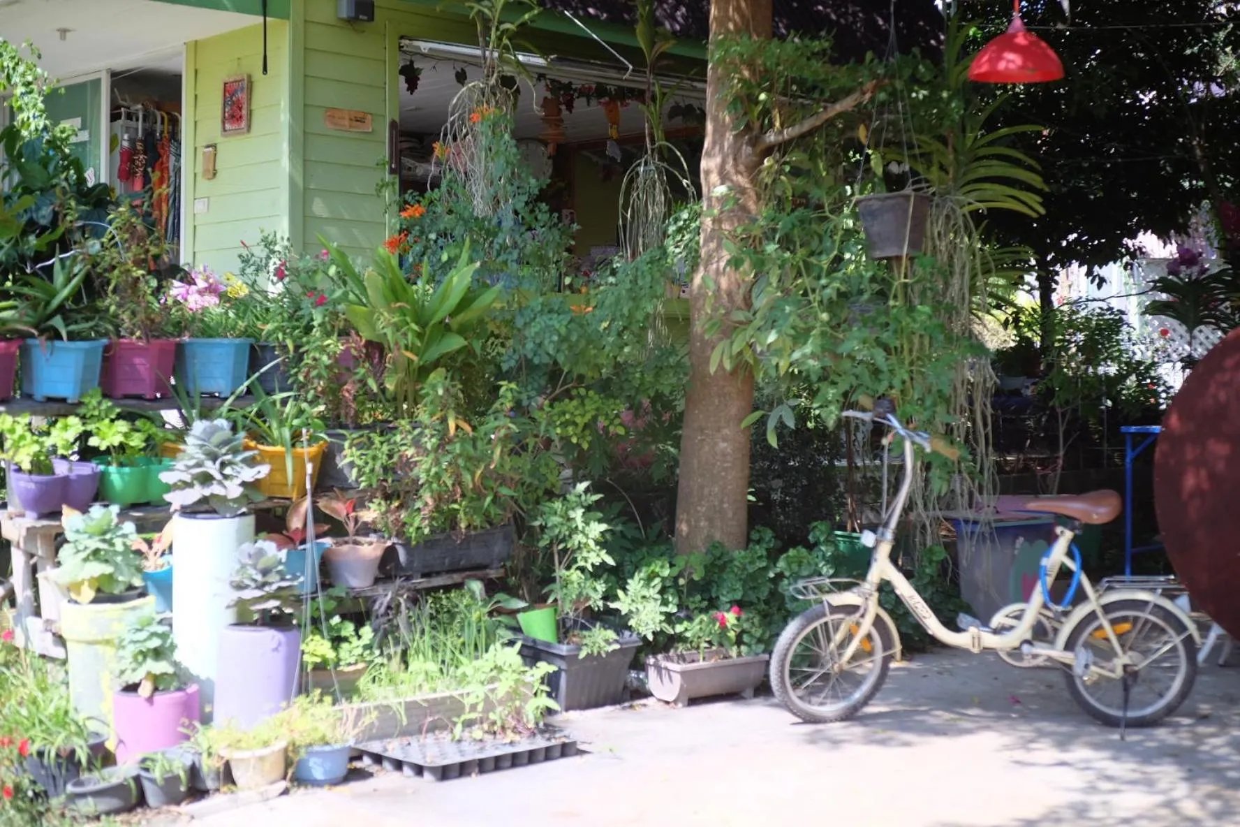 Property building in A Houses Homestay