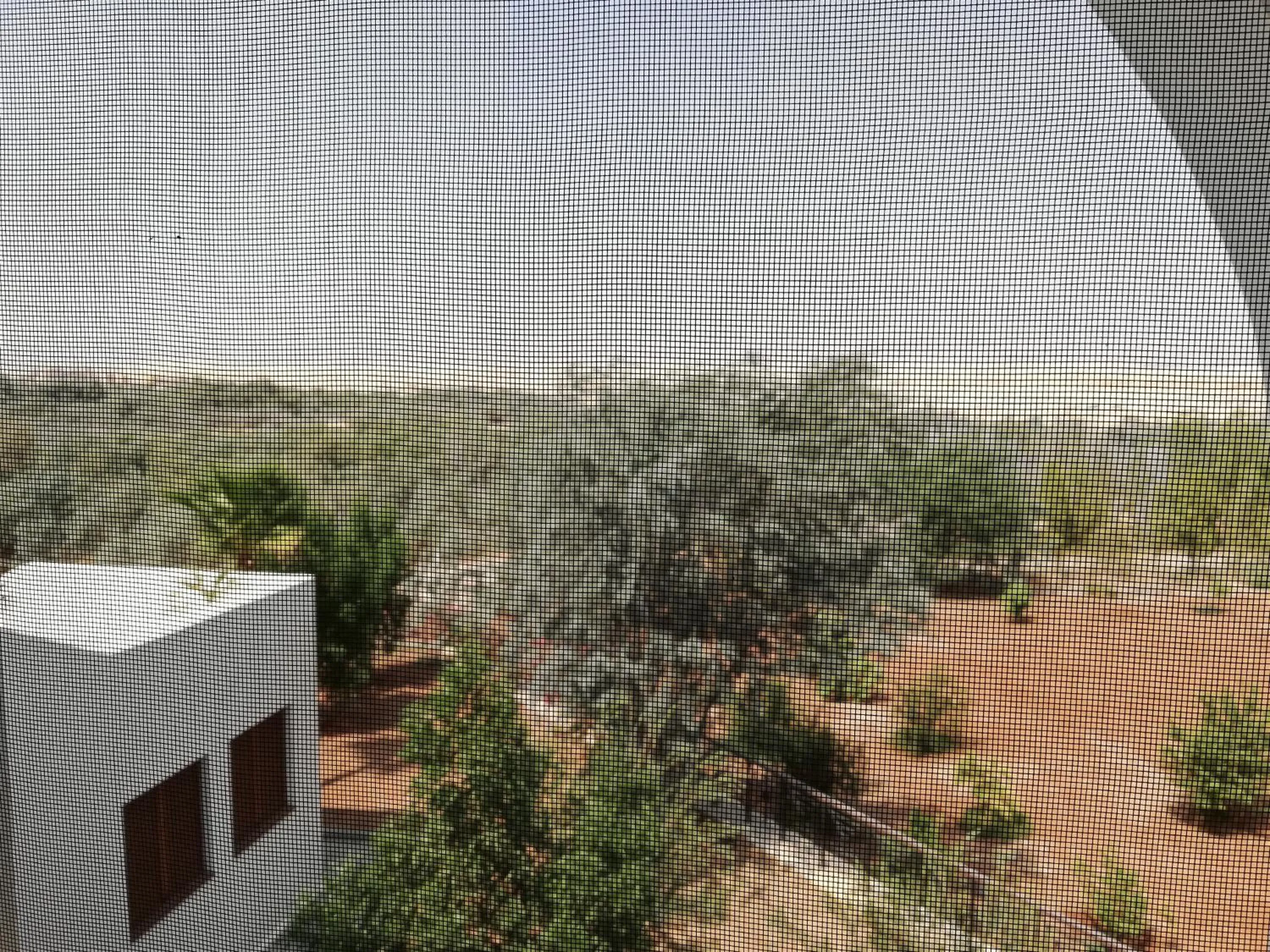 Garden view in Russian Pilgrim Residence