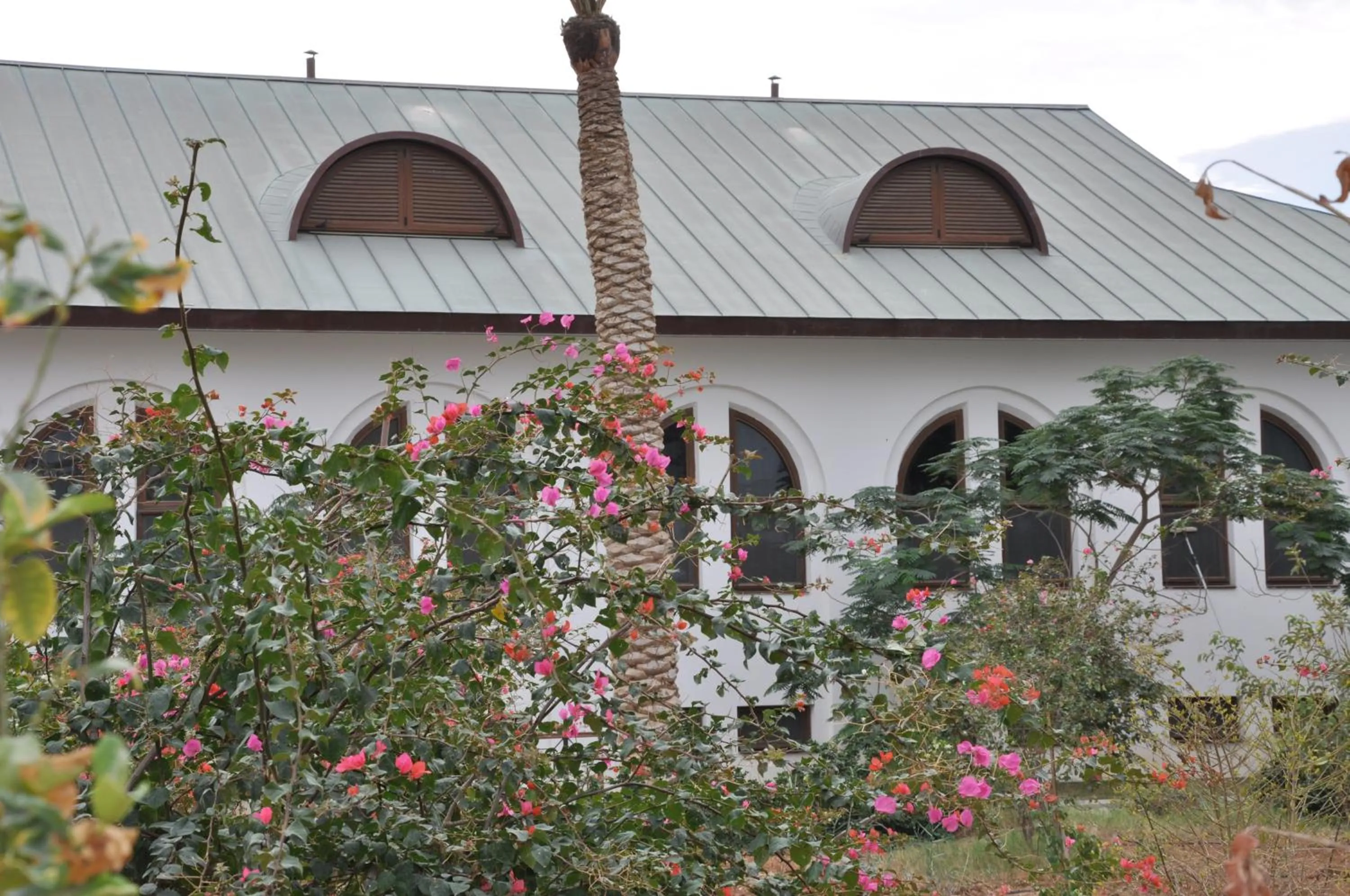 Natural landscape in Russian Pilgrim Residence