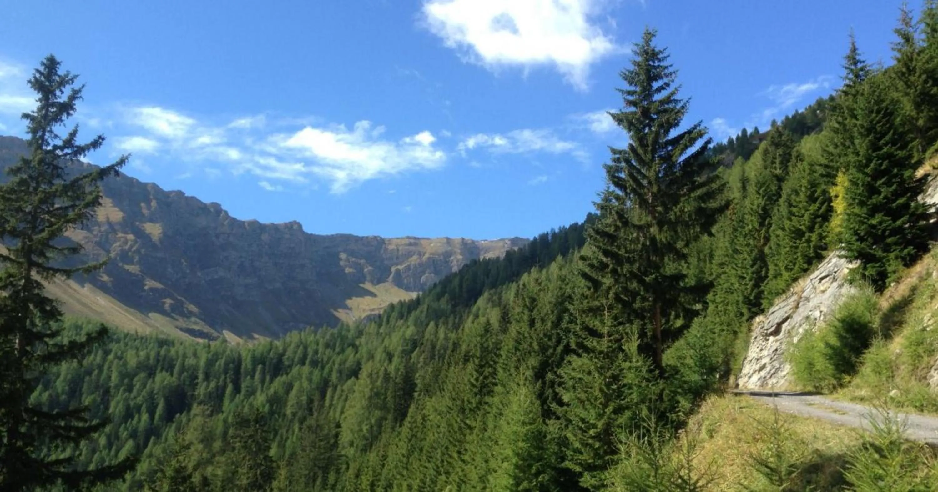 Natural landscape in Hotel Gletschermühle