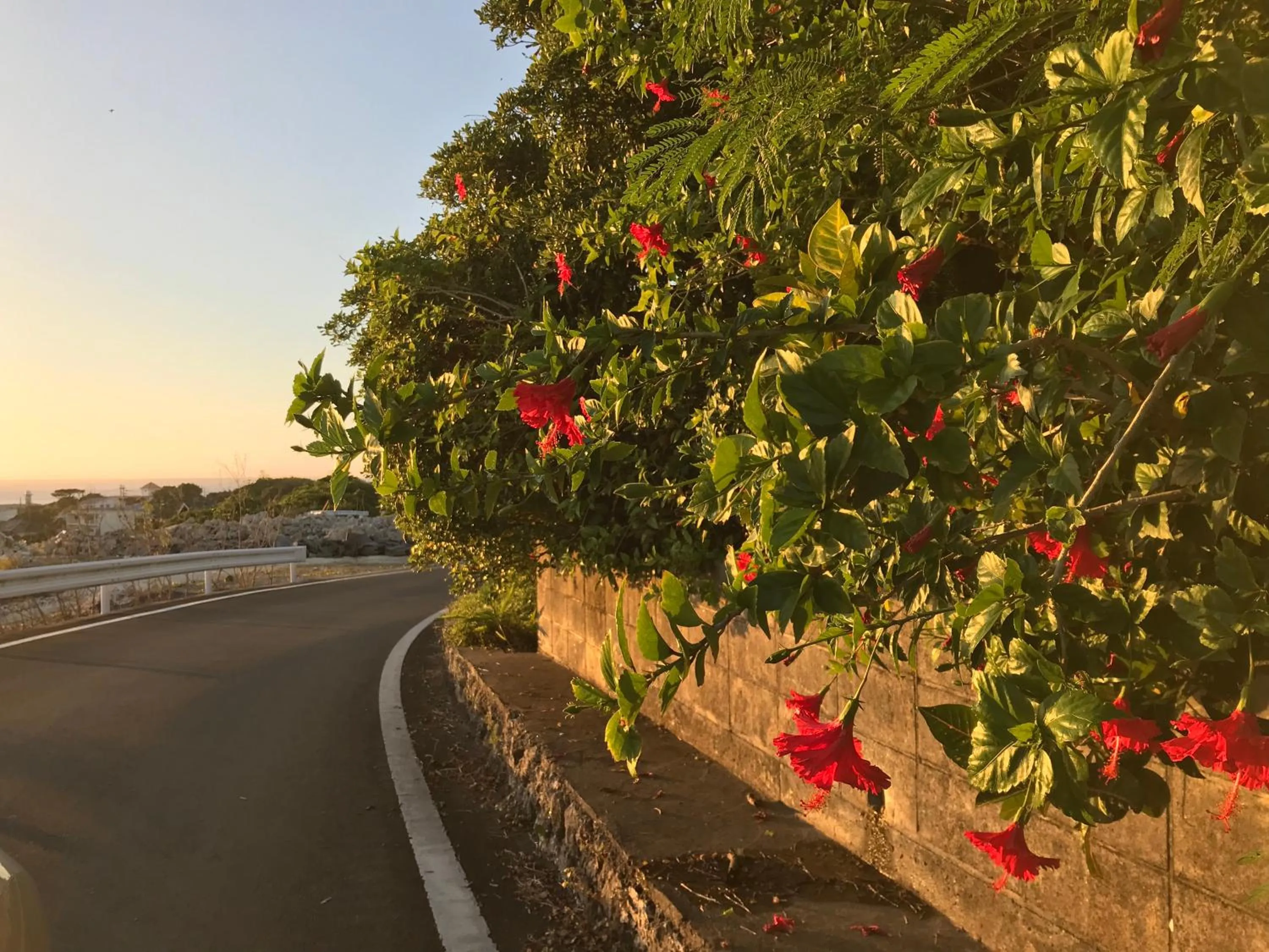 City view in MEEDAFU'S YUI HOSTEL and COFFEE