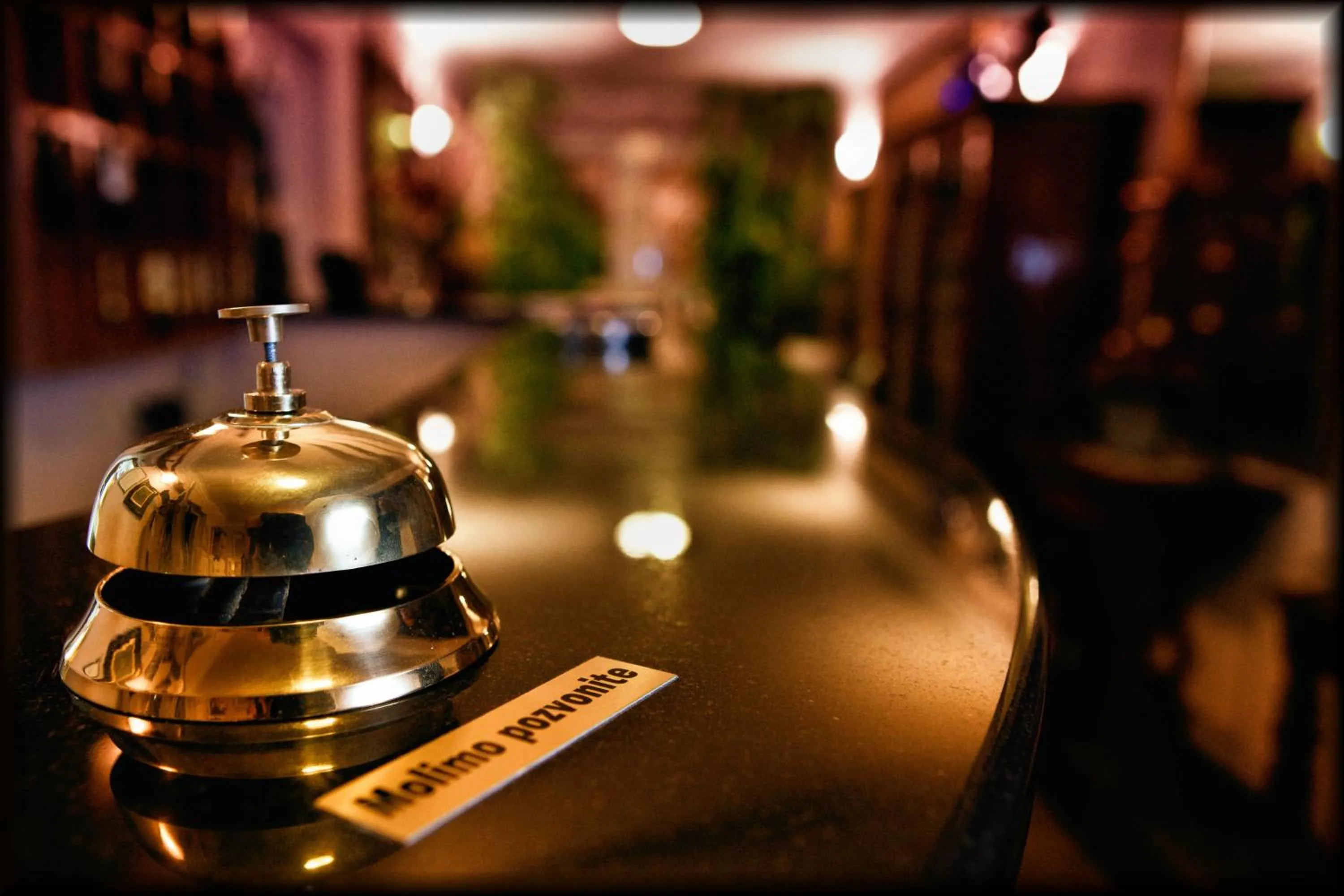 Lobby or reception in Hotel Vila Tina