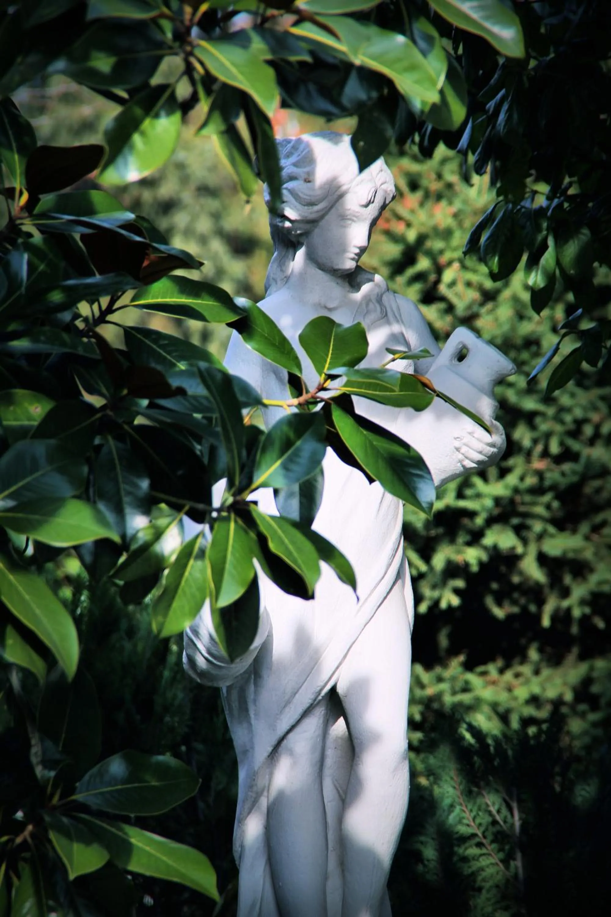 Garden in Hotel Vila Tina