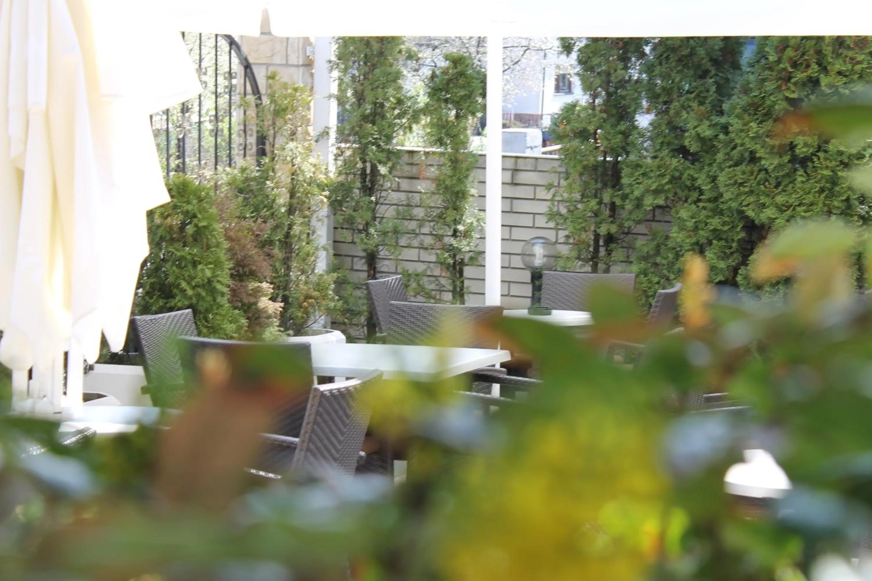 Balcony/Terrace in Hotel Vila Tina