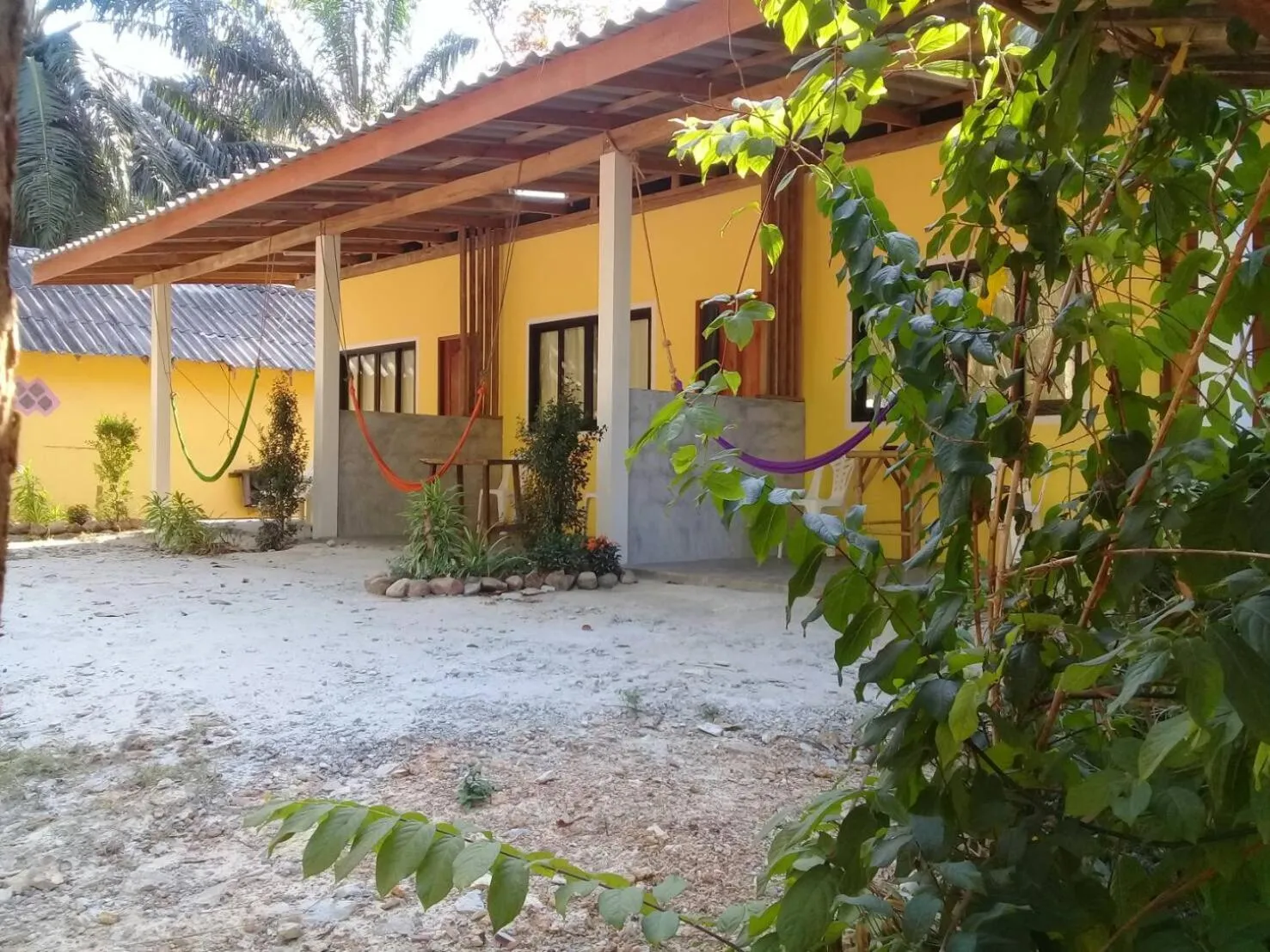 Other in Som PalmGarden