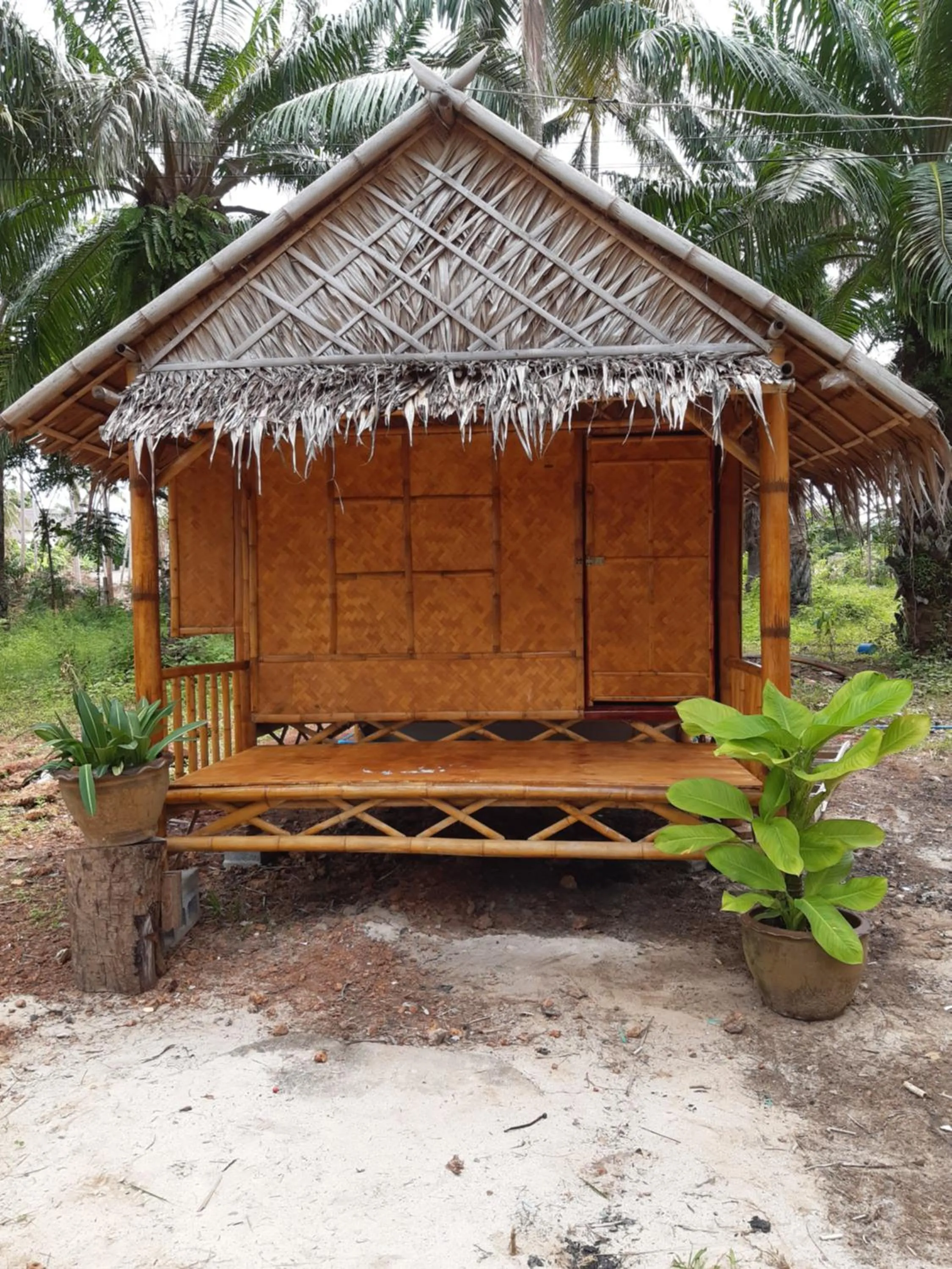 Property building in Som PalmGarden