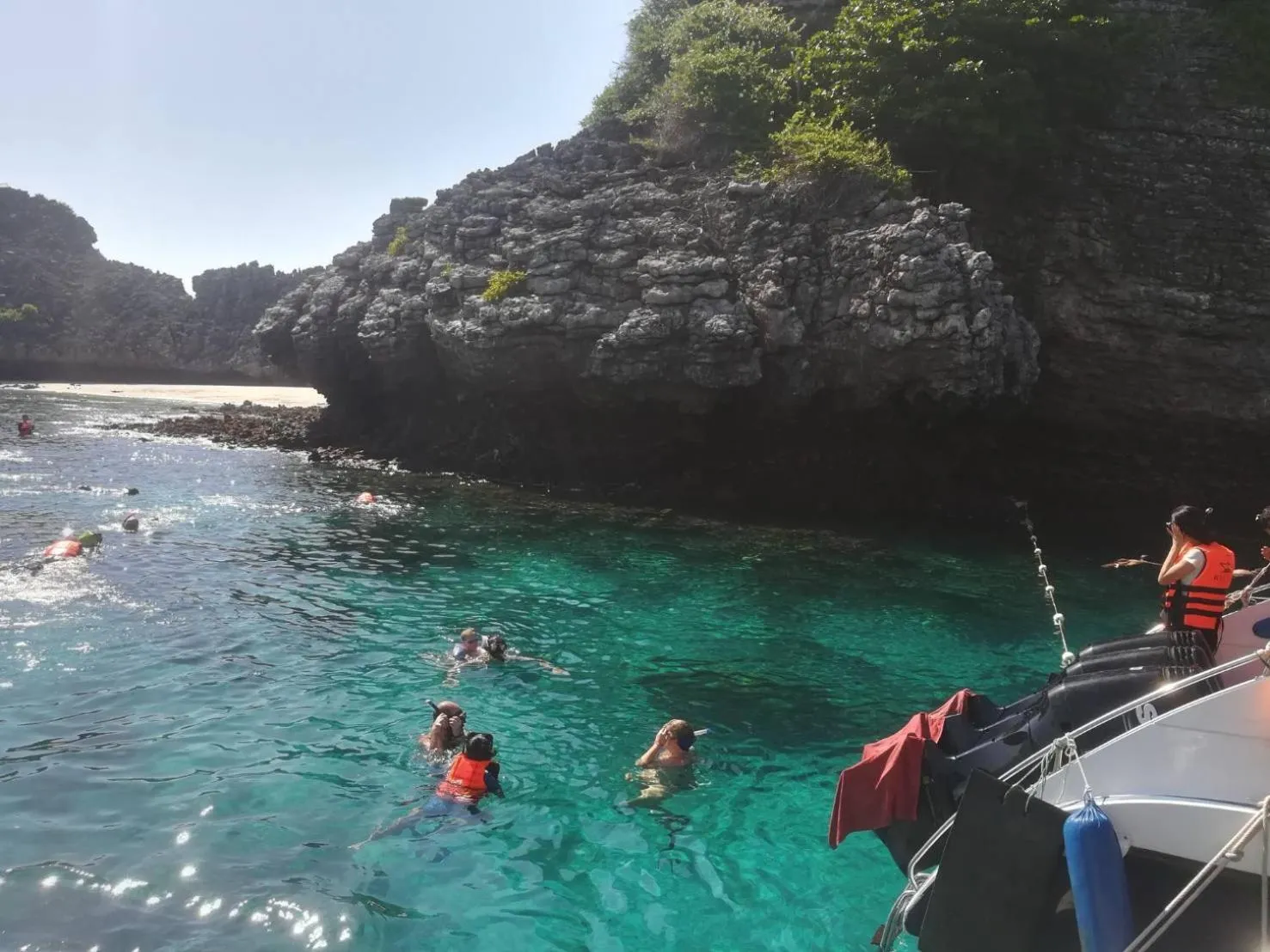 Summer in Som PalmGarden