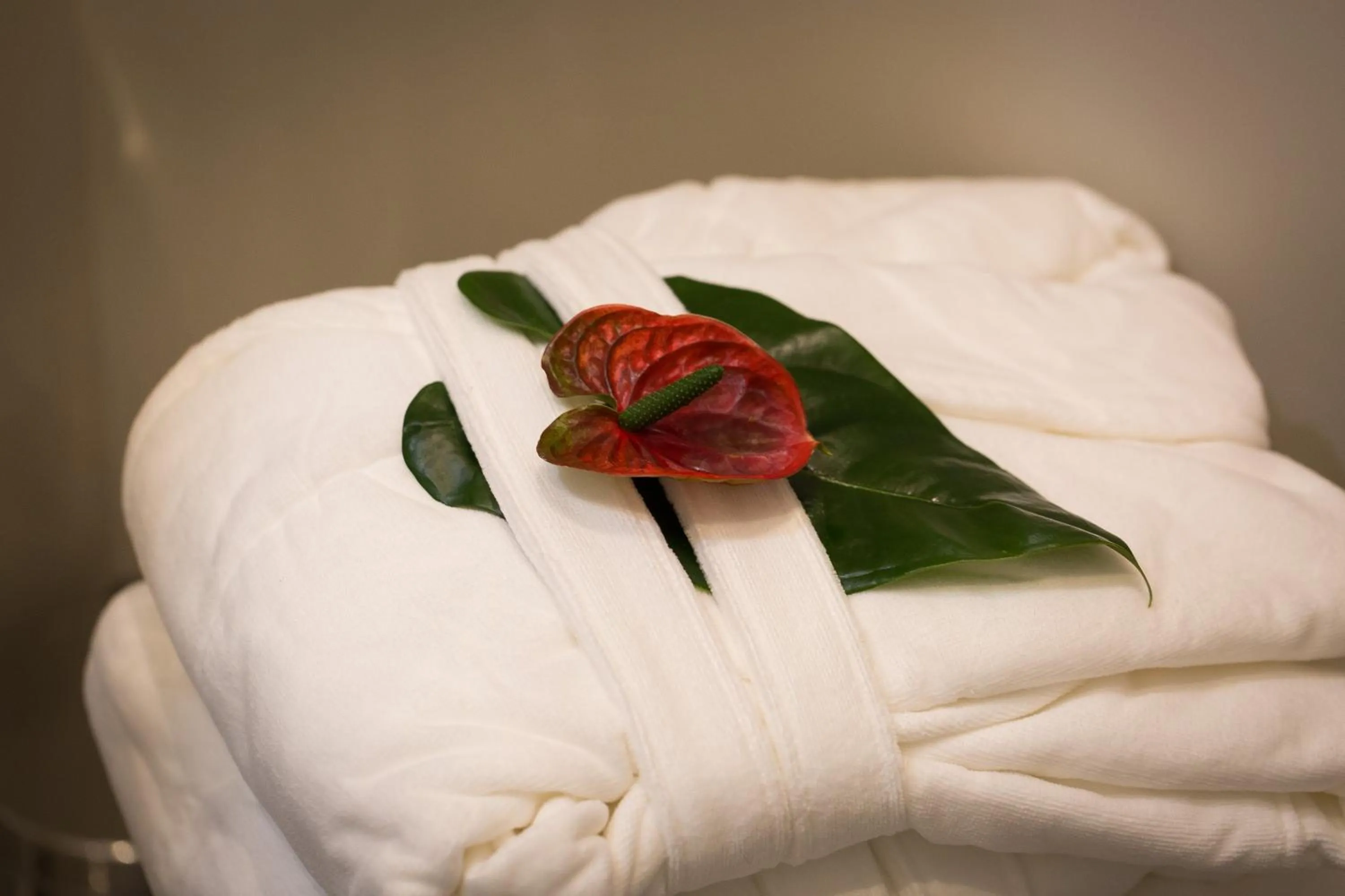 Decorative detail in 126 Gracchi Suites