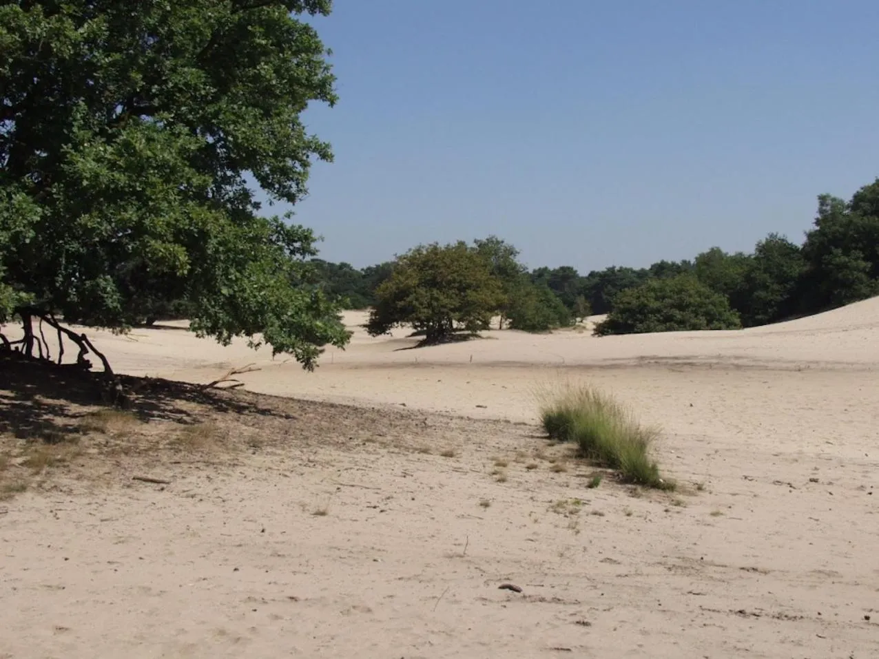 Area and facilities in In den Verdwaalde Koogel