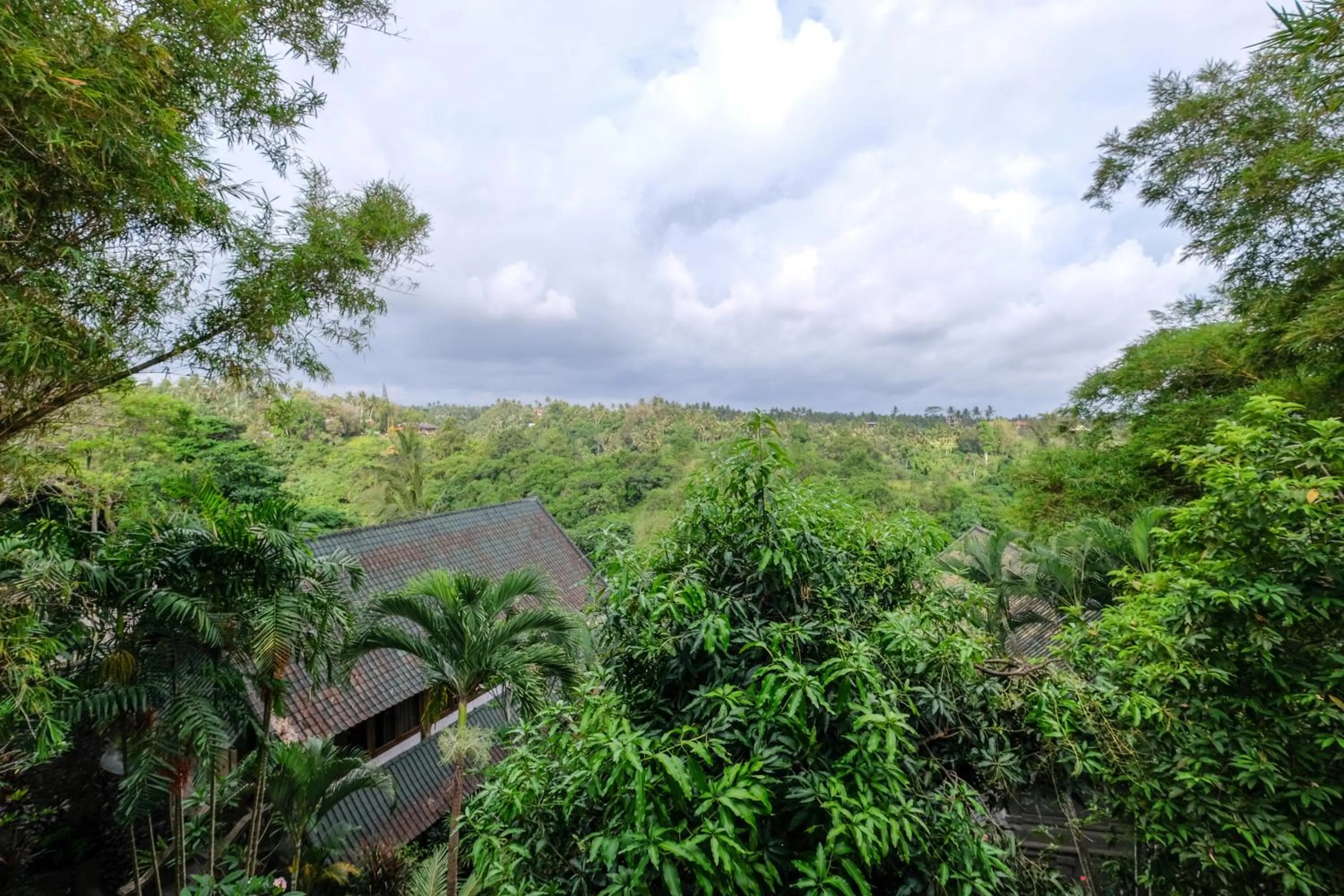 Natural landscape in Sunrise Villa Ubud