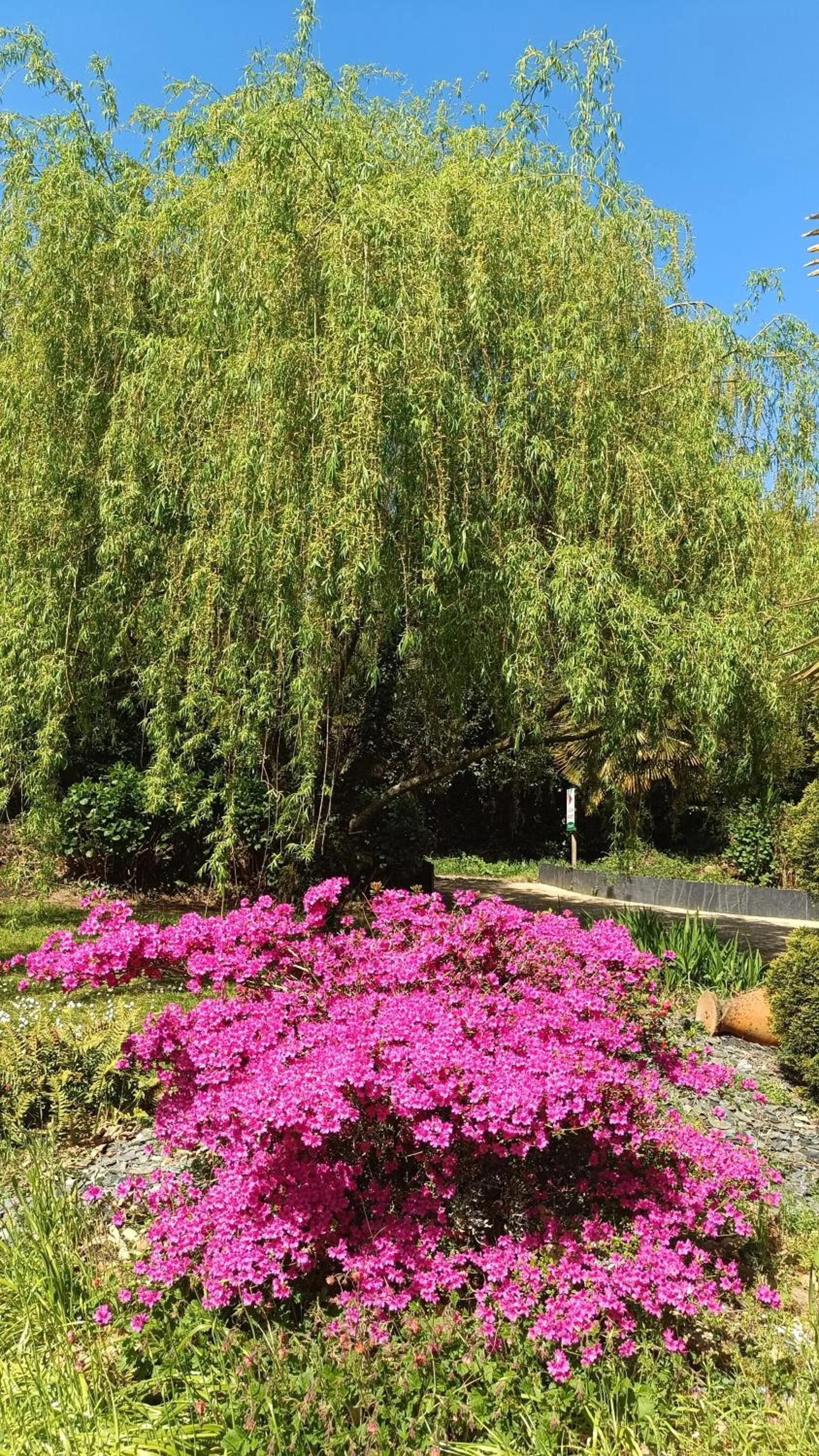 Garden in La Clé des Roulottes