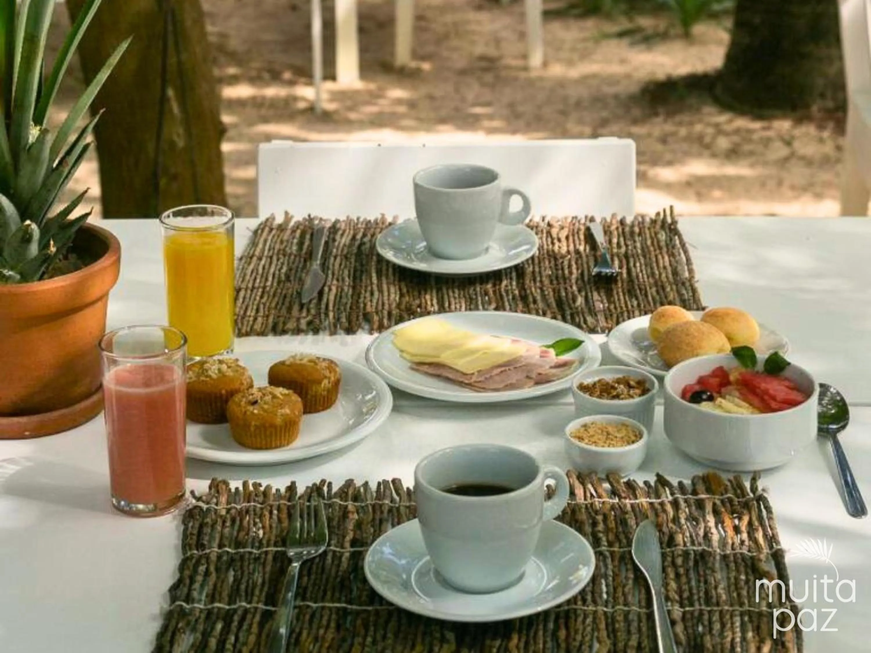 Natural landscape in Muita Paz