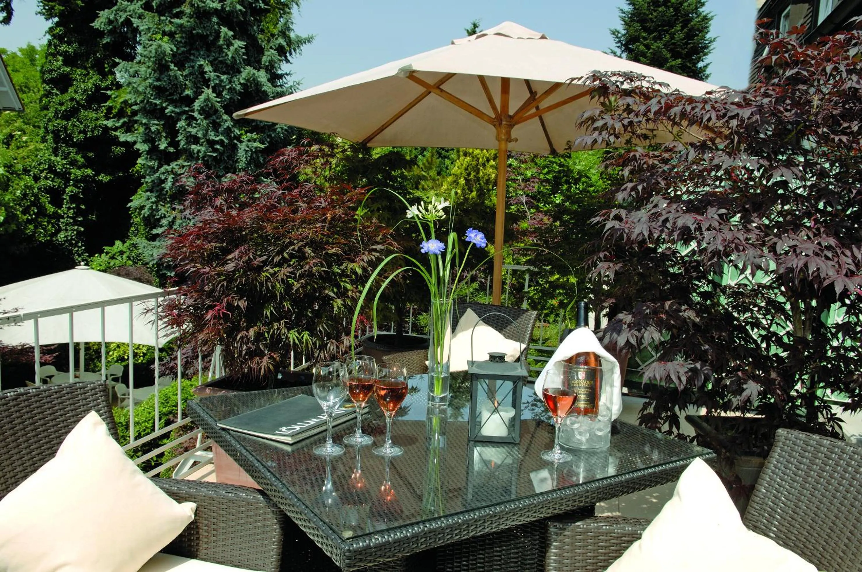 Balcony/Terrace in Hotel Der Löwen