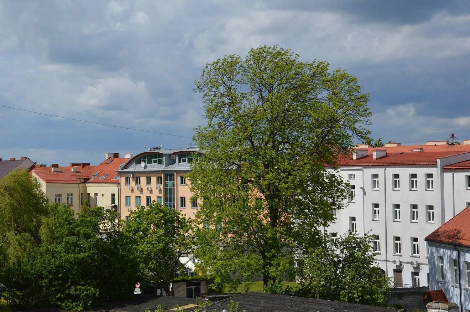 View (from property/room) in Pokoje Gościnne Centrum Kultury Prawosławnej