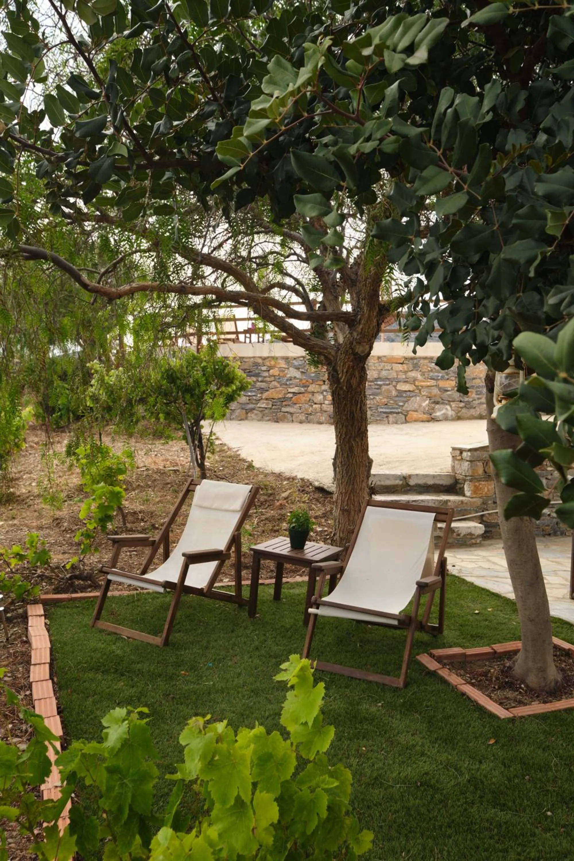 Property building in Amorgion Village