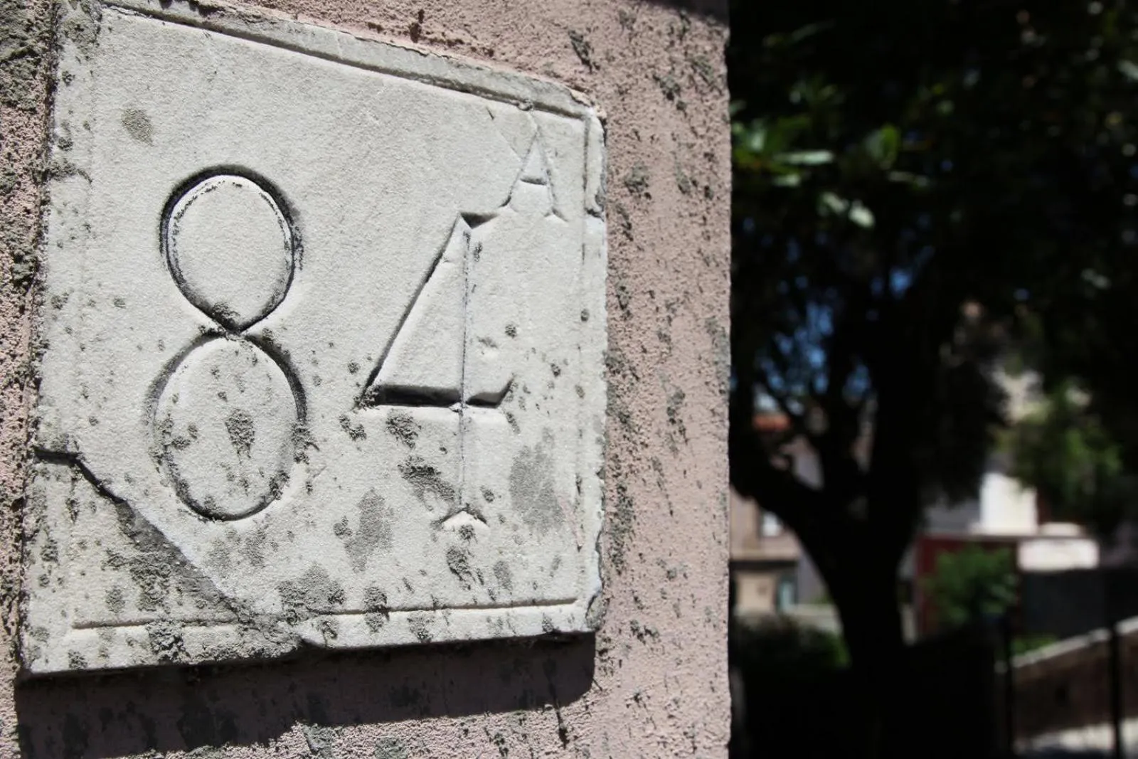 Logo/Certificate/Sign in Vaticano84