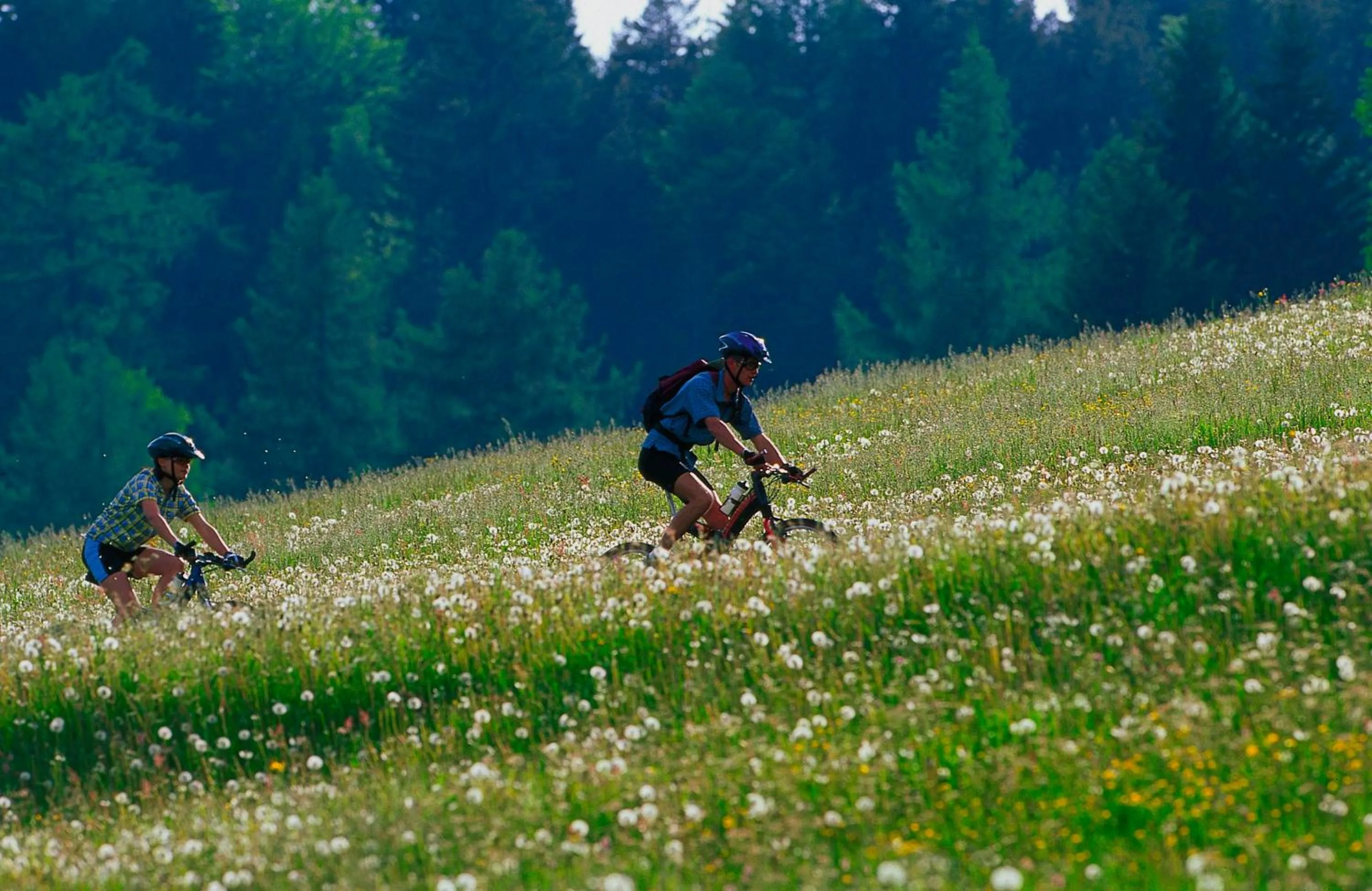 Cycling in Hotel Laurin