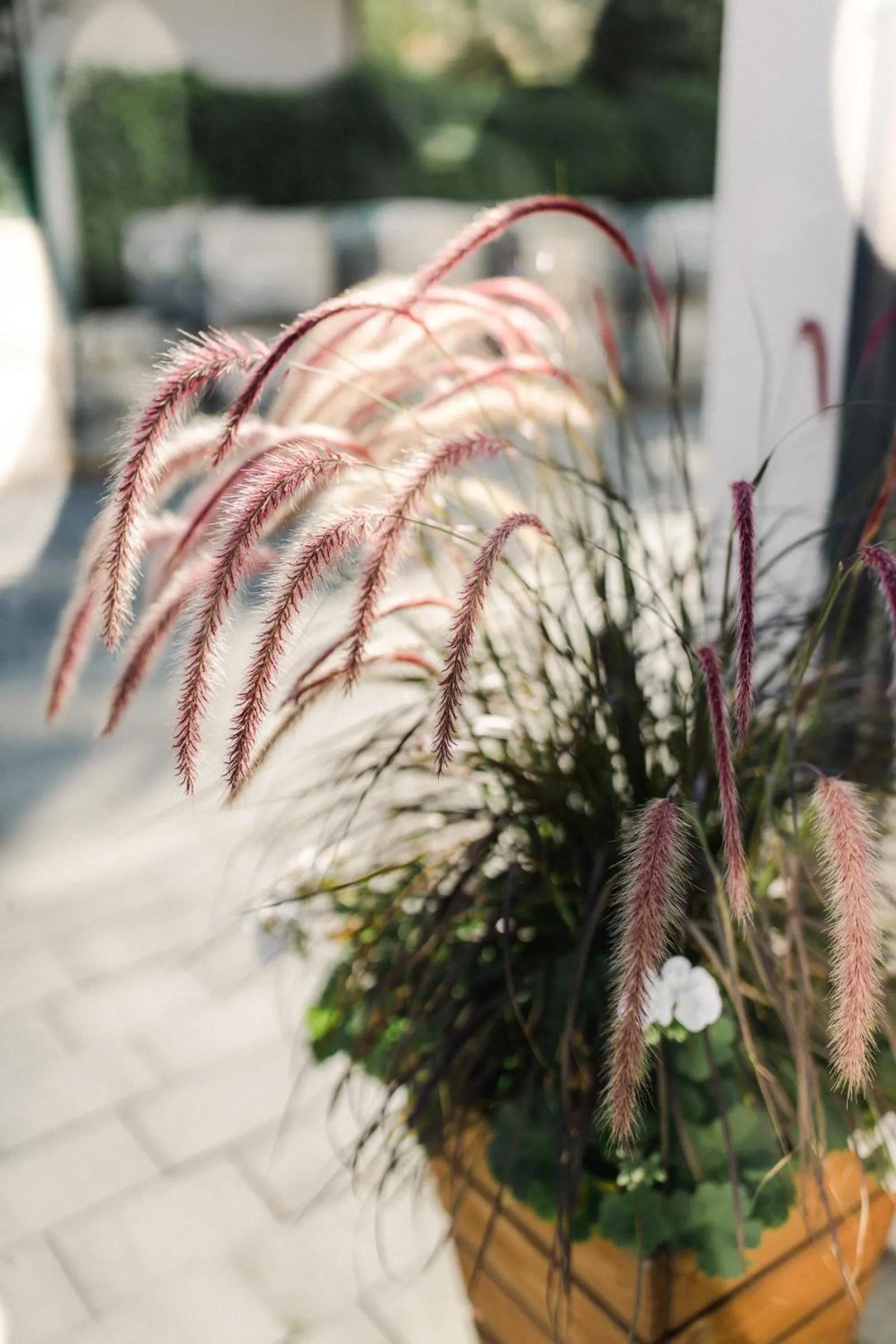 Villa Monica Apartamenty