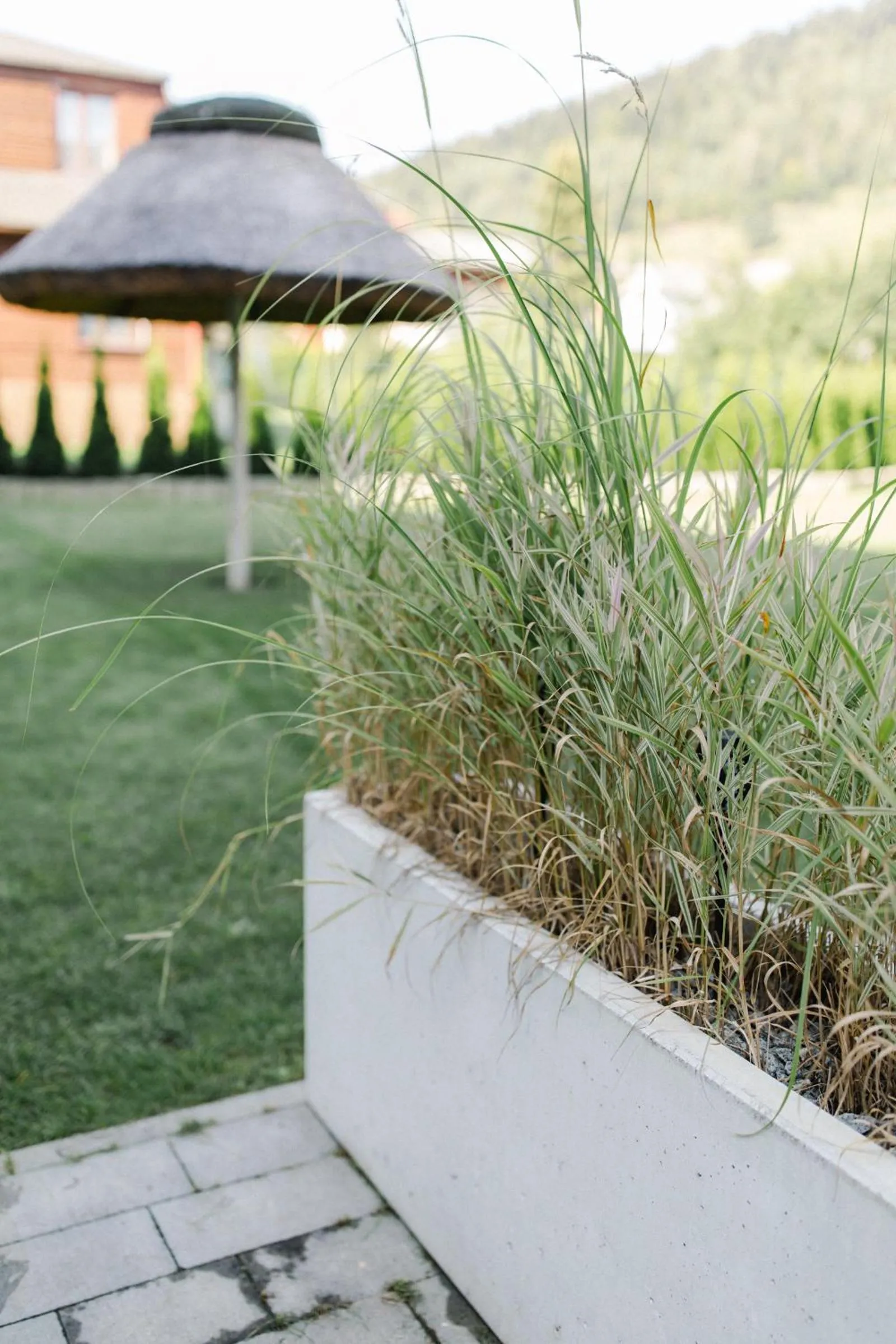 Villa Monica Apartamenty