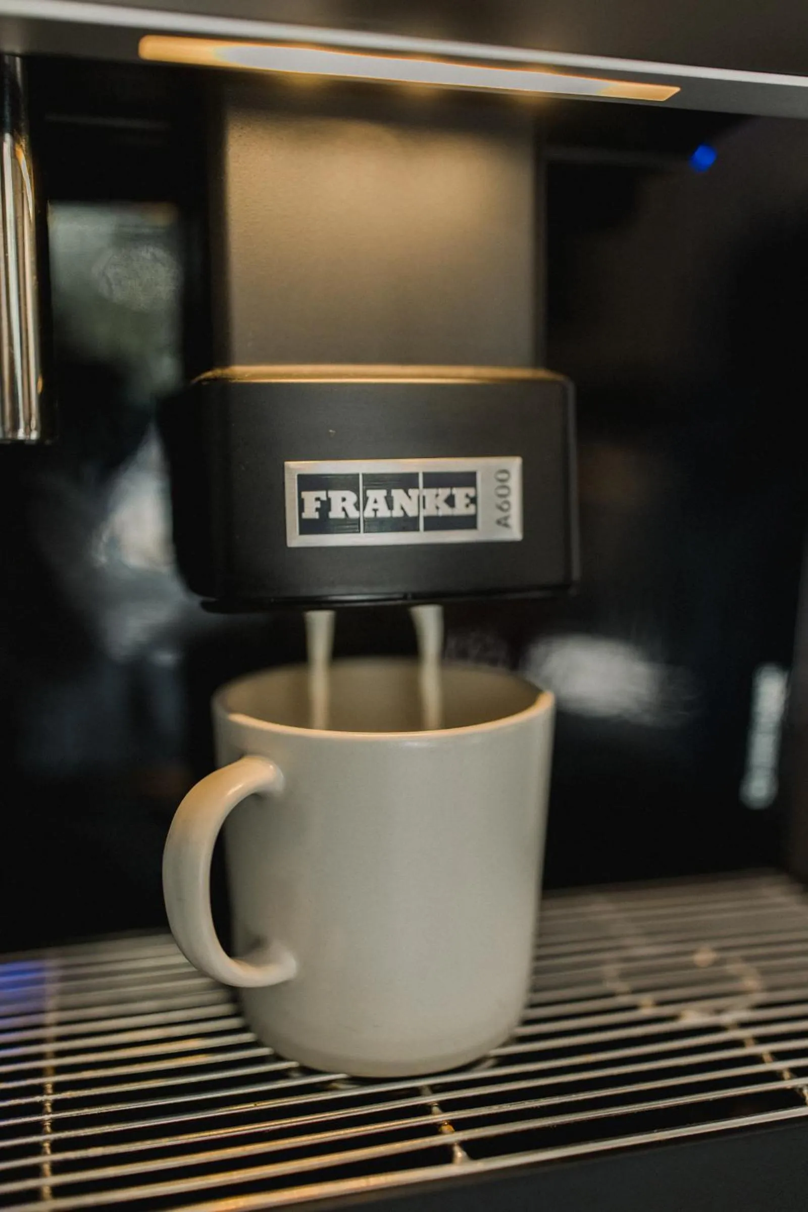 Villa Monica Apartamenty