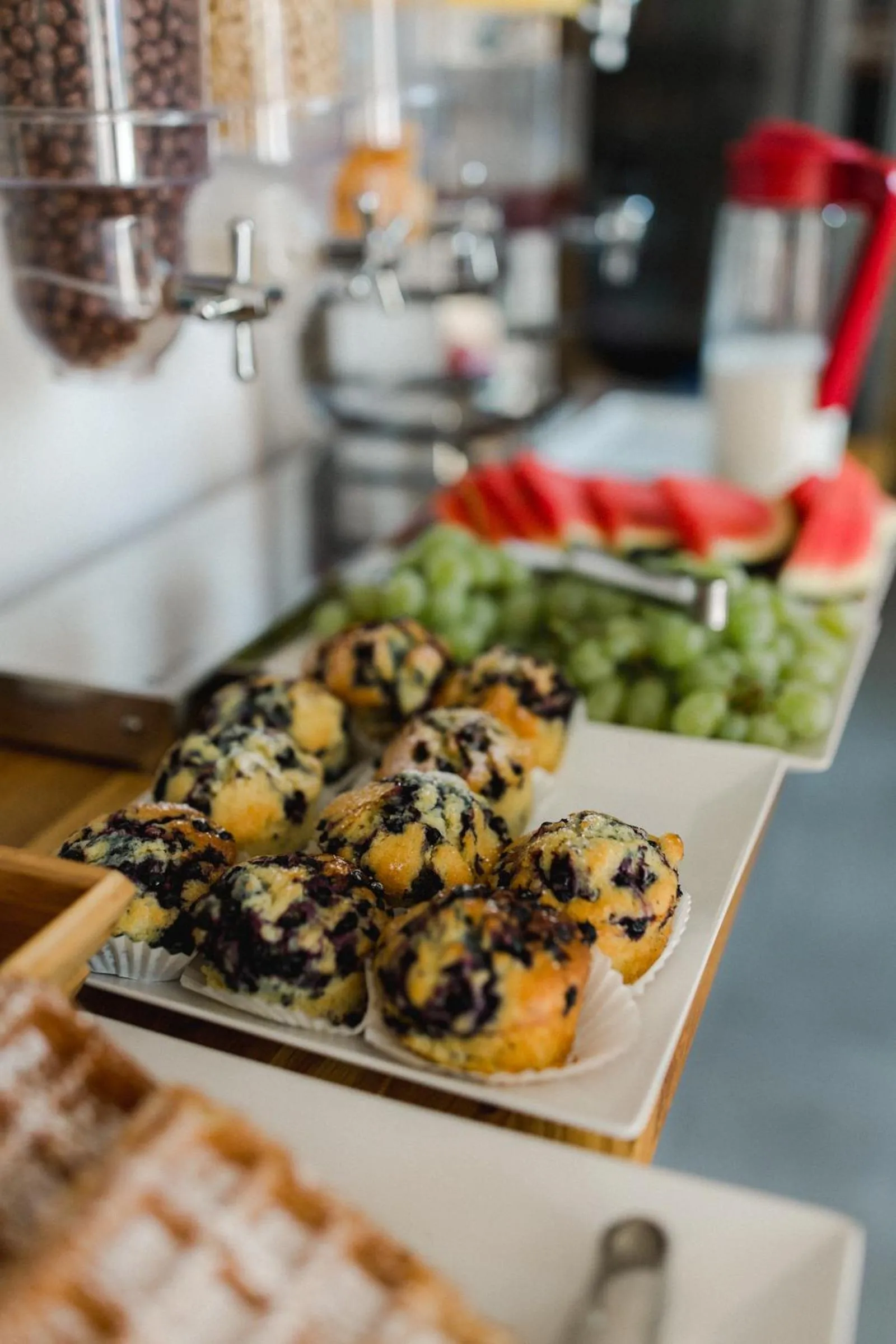 Villa Monica Apartamenty